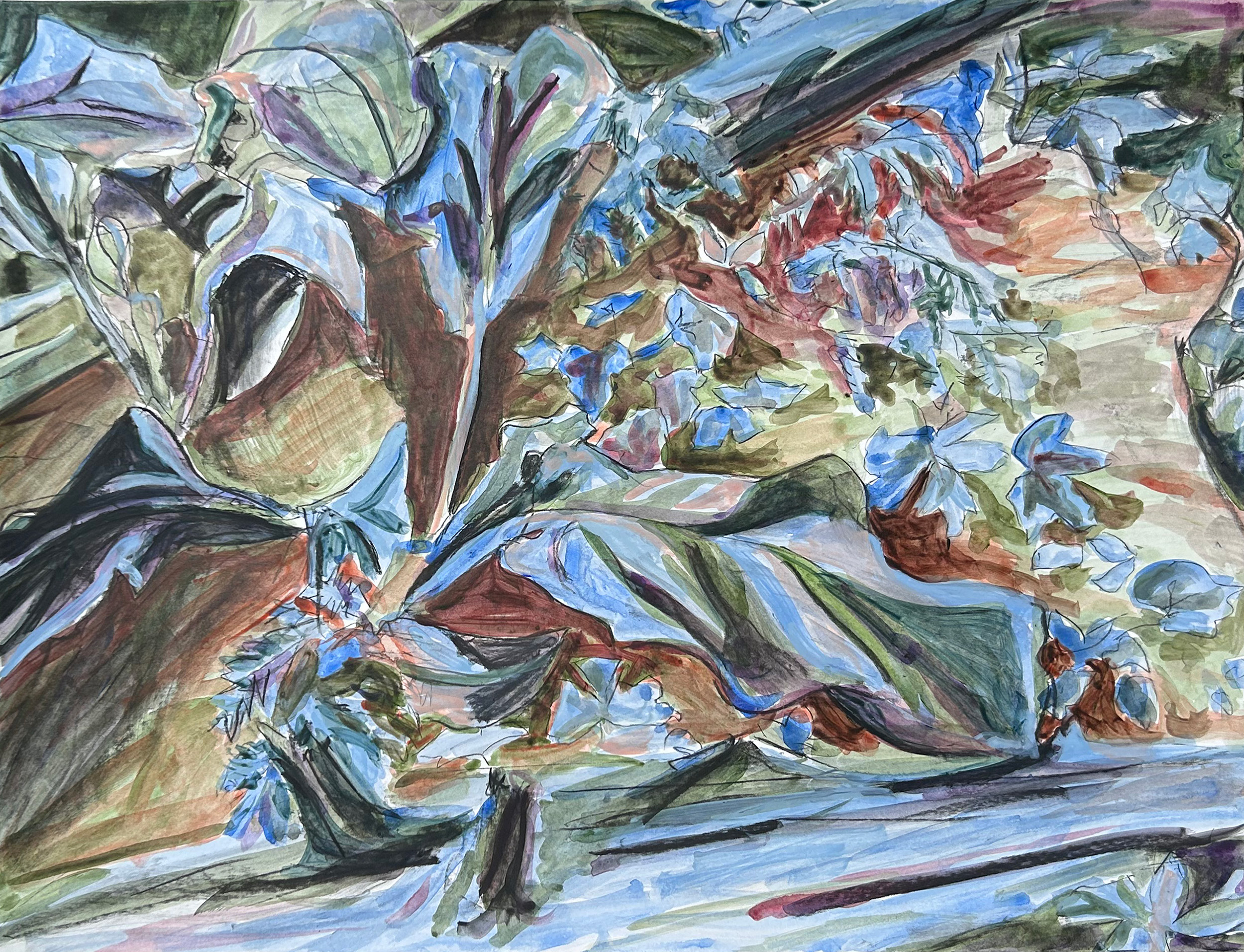 Skunk Cabbage, 18x24", Charcoal and Acrylic on Paper