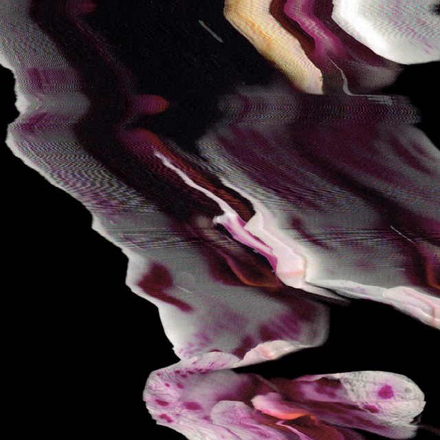 Static Flower: China 2 - close up
