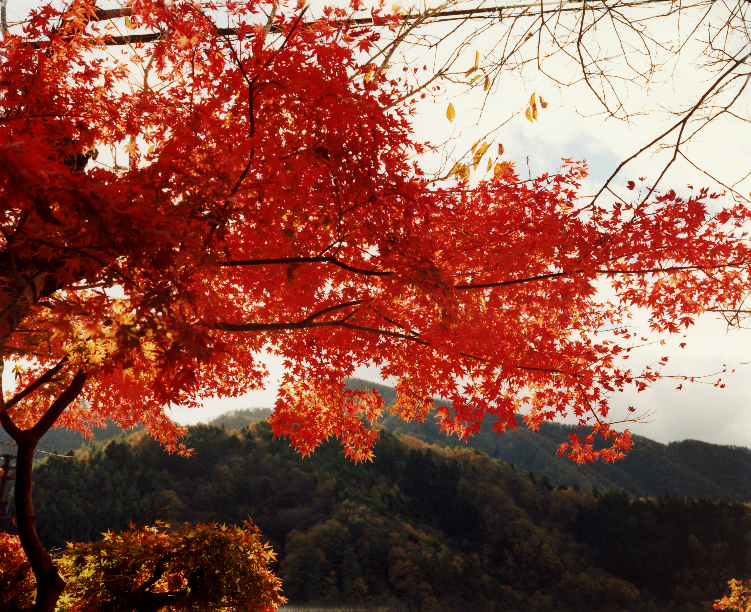 from Yonjū, Fujikawaguchiko, 2023