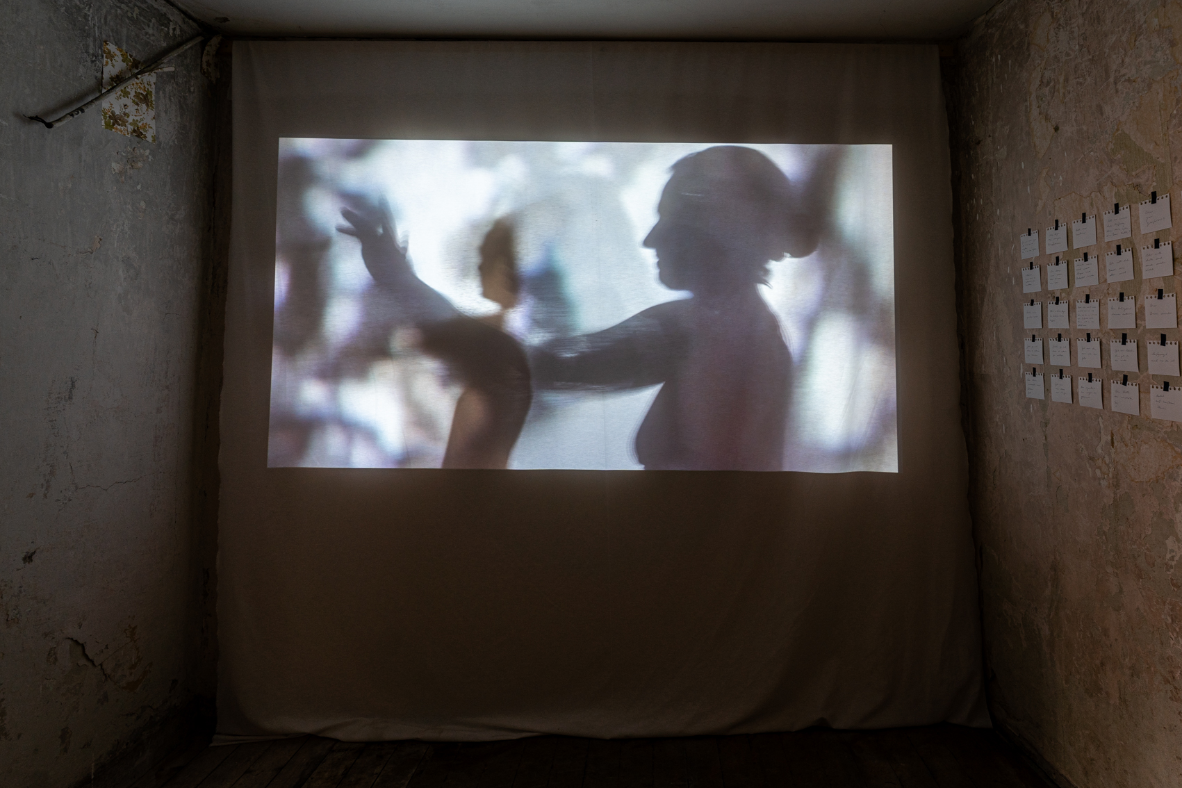 Bild 1 zu An den W&auml;nden der Stadt: Ein Beamer wirft Videos von Schatten an die Wand. Das Video zeigt Umrisse von Personen. 