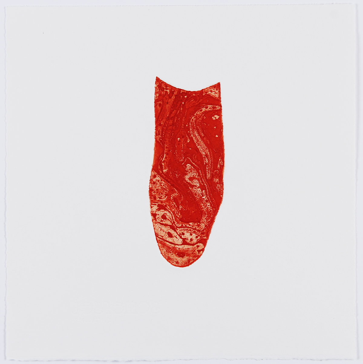 Xenophora I, etching on Somerset Satin. 25 x 25cm. 1/2 VE. NFS.