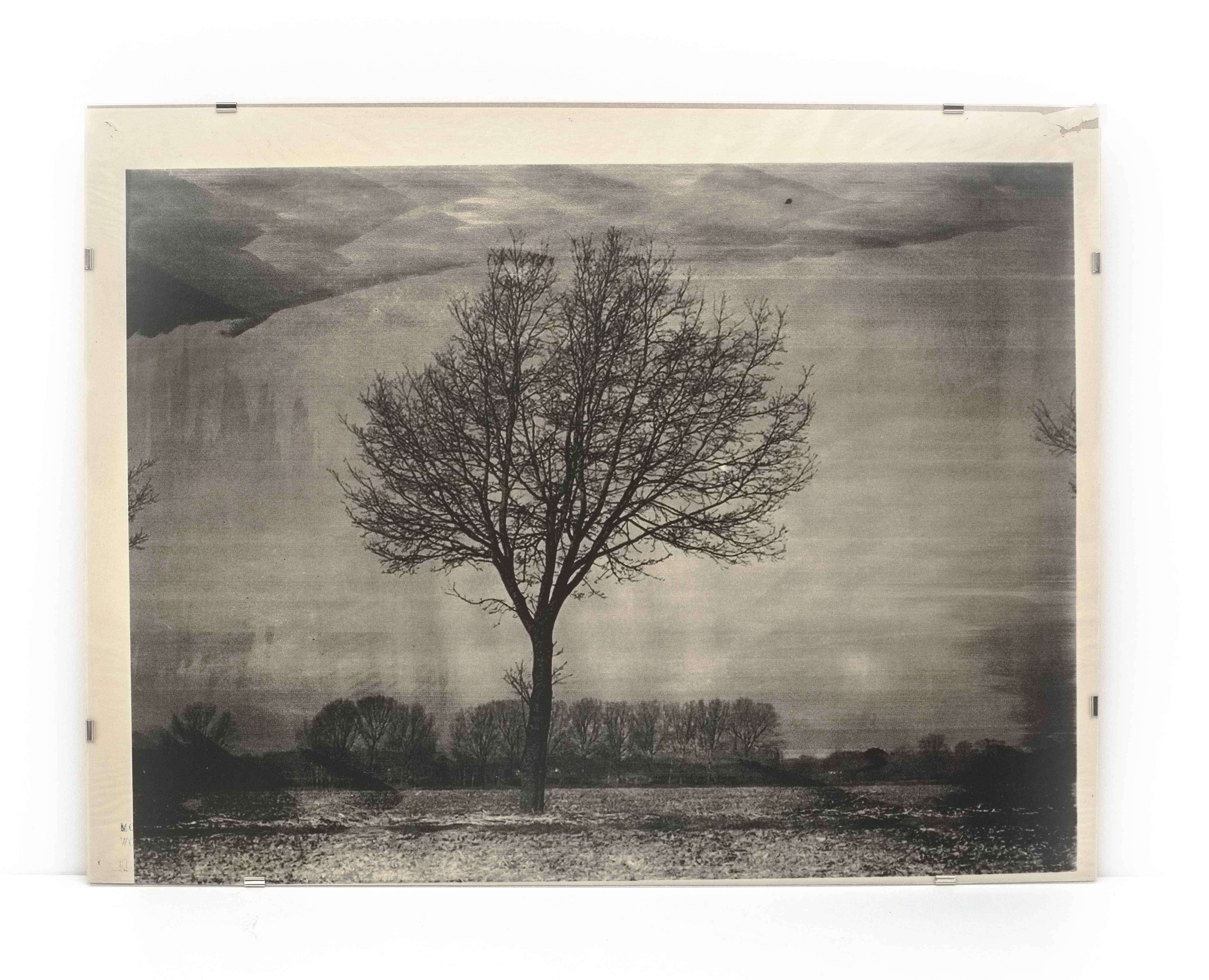 TFTW - Motion, Newsprint