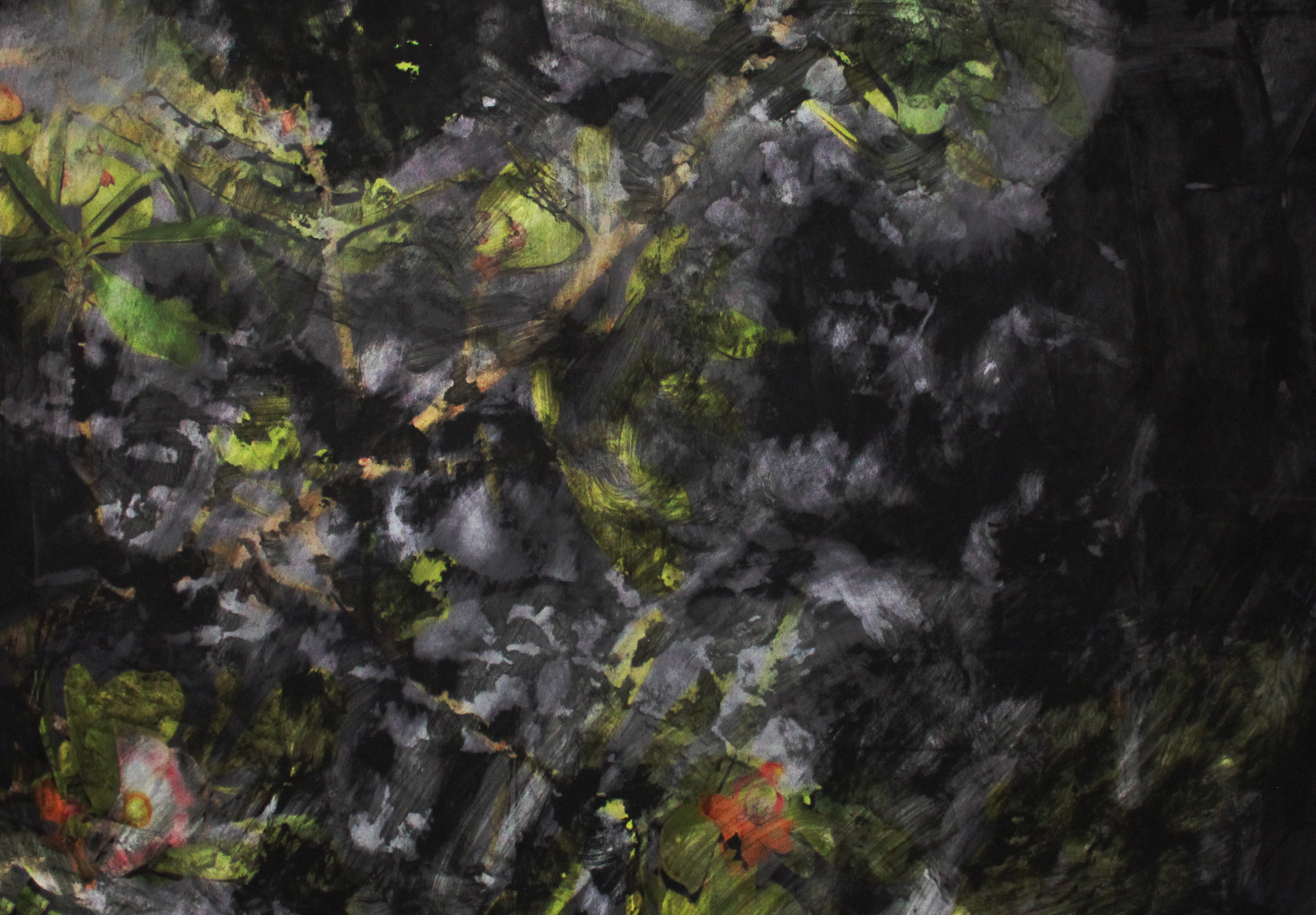 Flores en la Noche, 2019