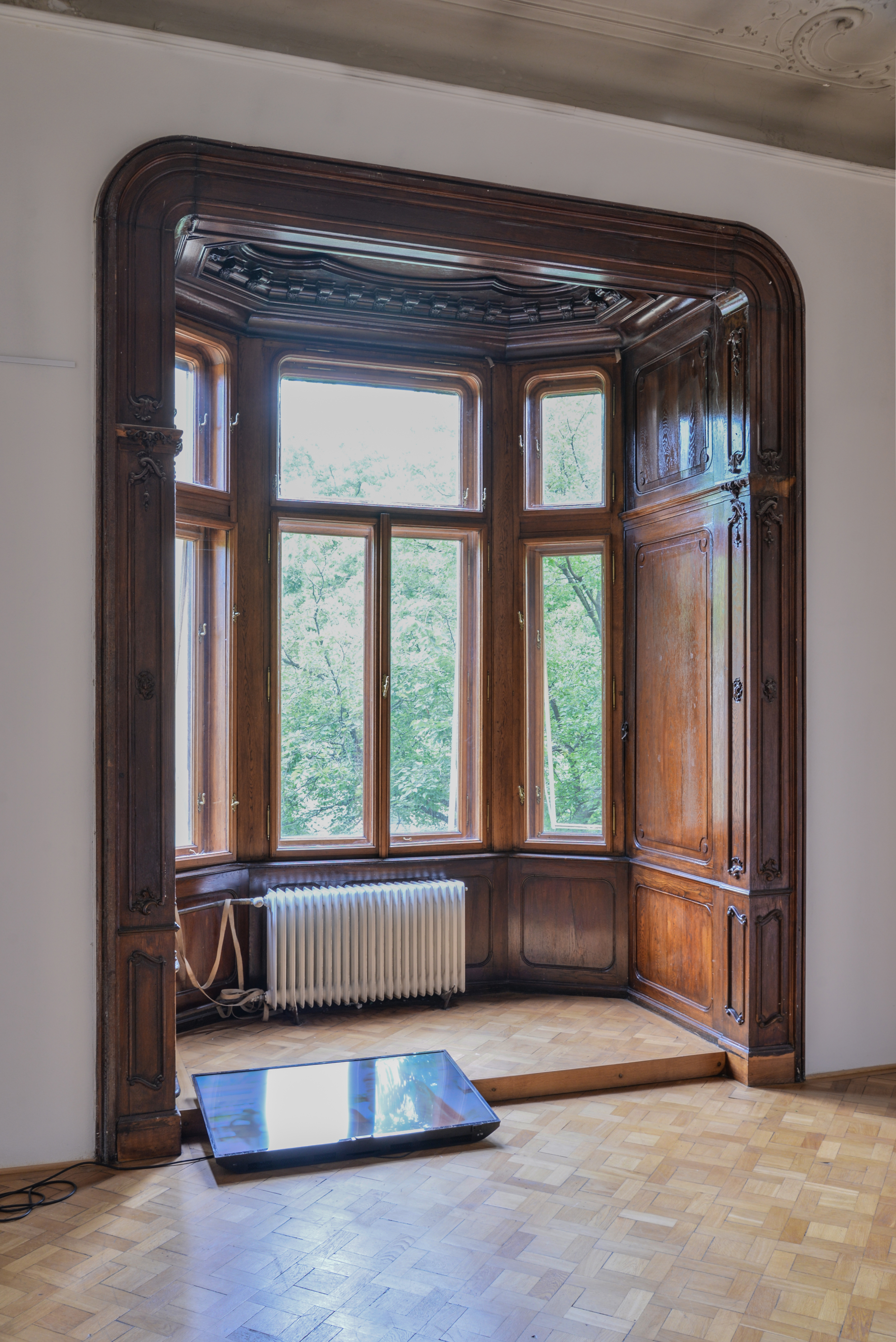 Lucie and Lucia, 2013