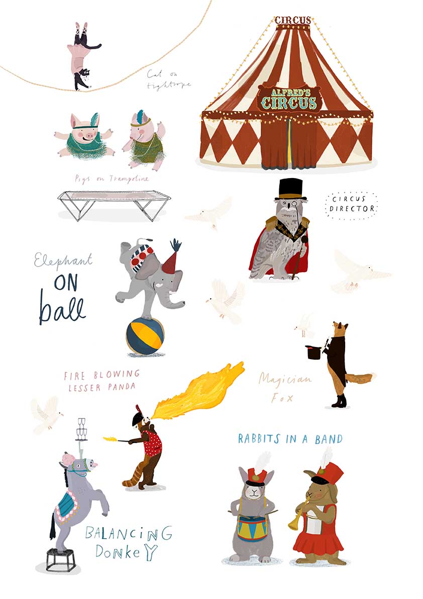 Client: Amifa, Stationary Range