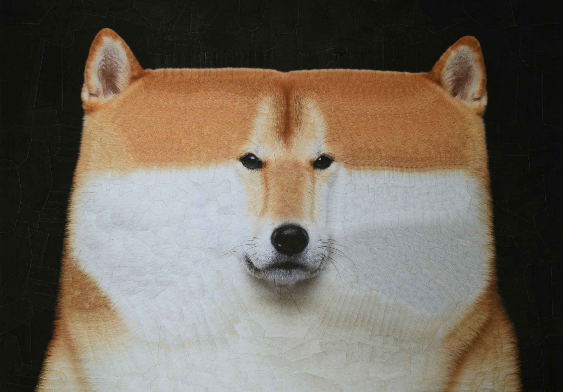 Randy 2, 2022, 11.6 x 8.2 inches