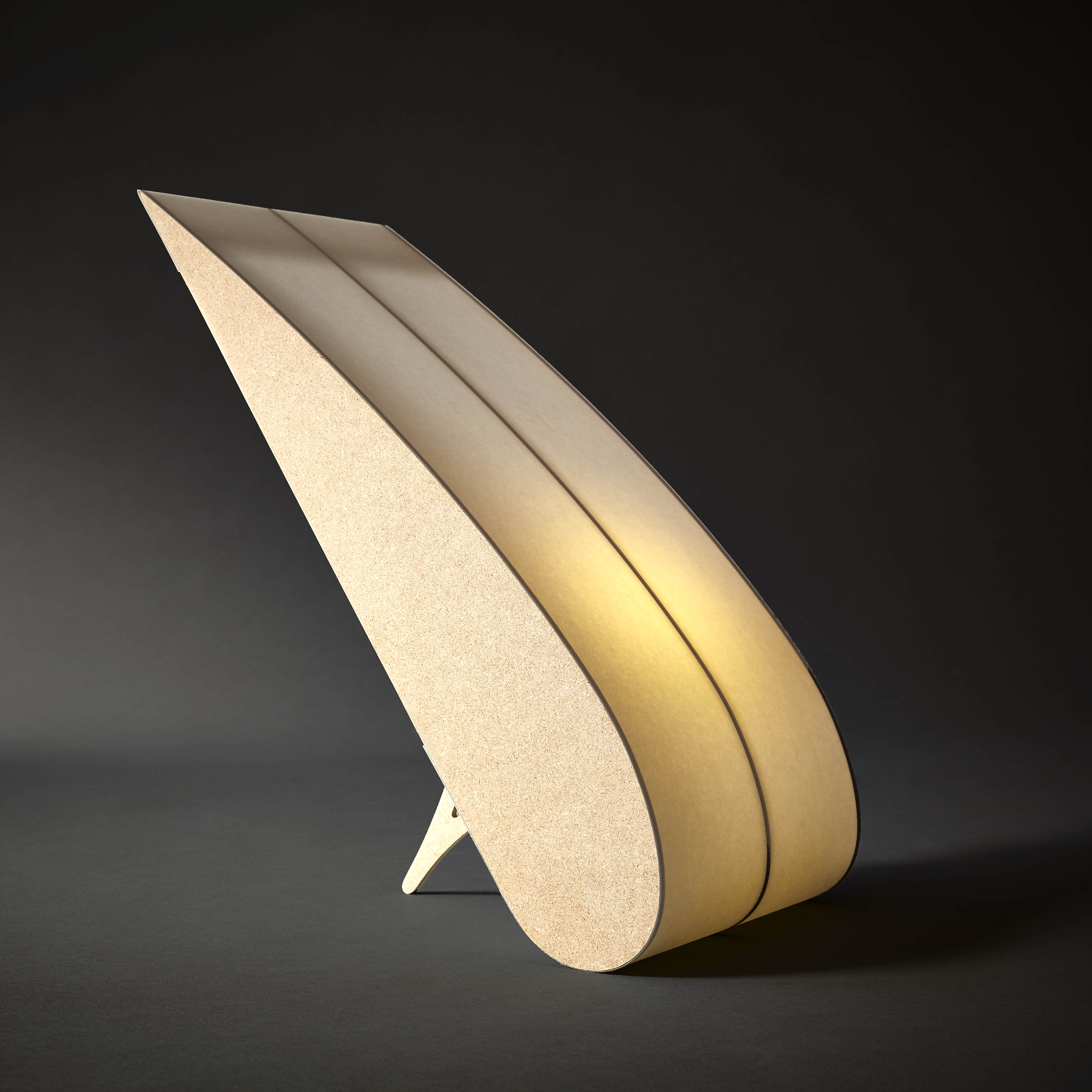 Anish KapoorView Project