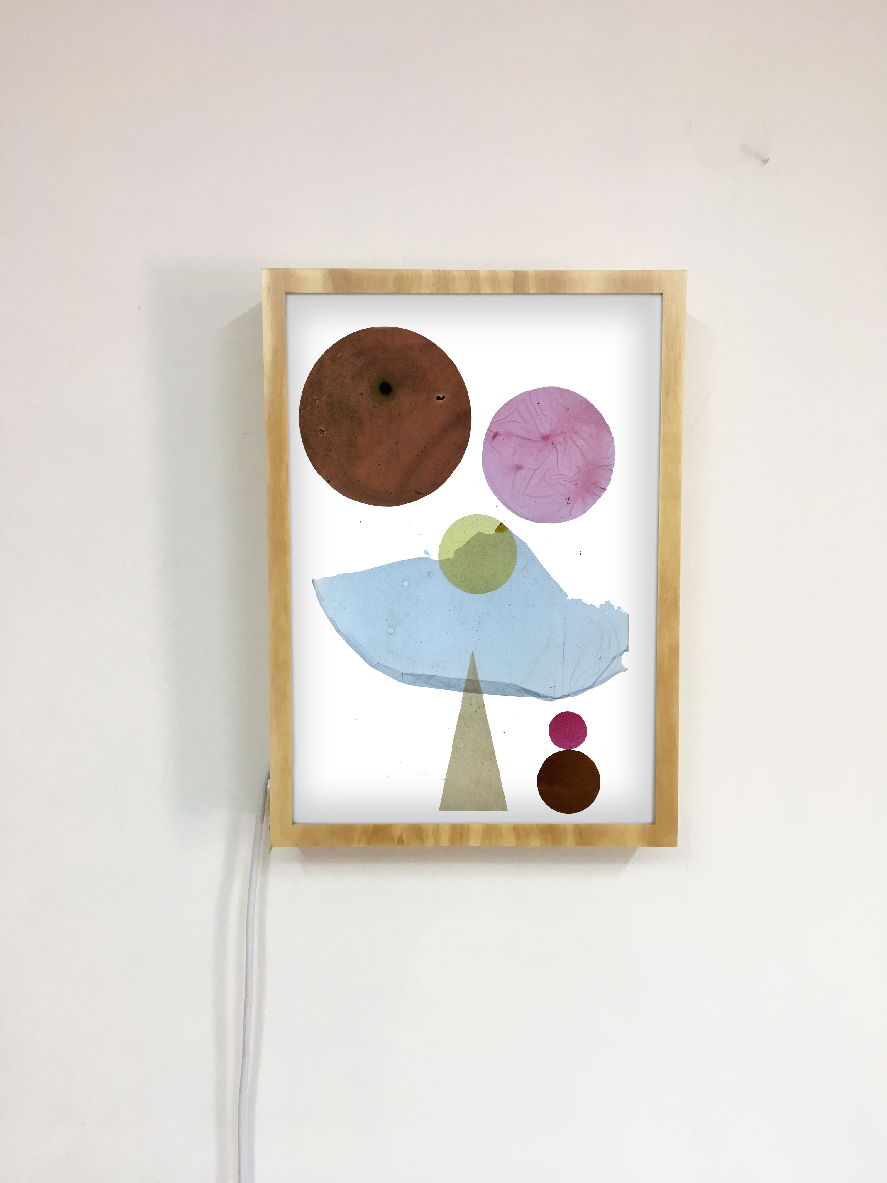 Ventana de Luz #06. Laminas de Bioplasticos y tintas vegetales (curcuma, hierba de san juan, flor de jamaica, maqui, cochinilla)  Cajas de luz,  retro iluminadas de madera. 30 cm x 42. VENDIDA