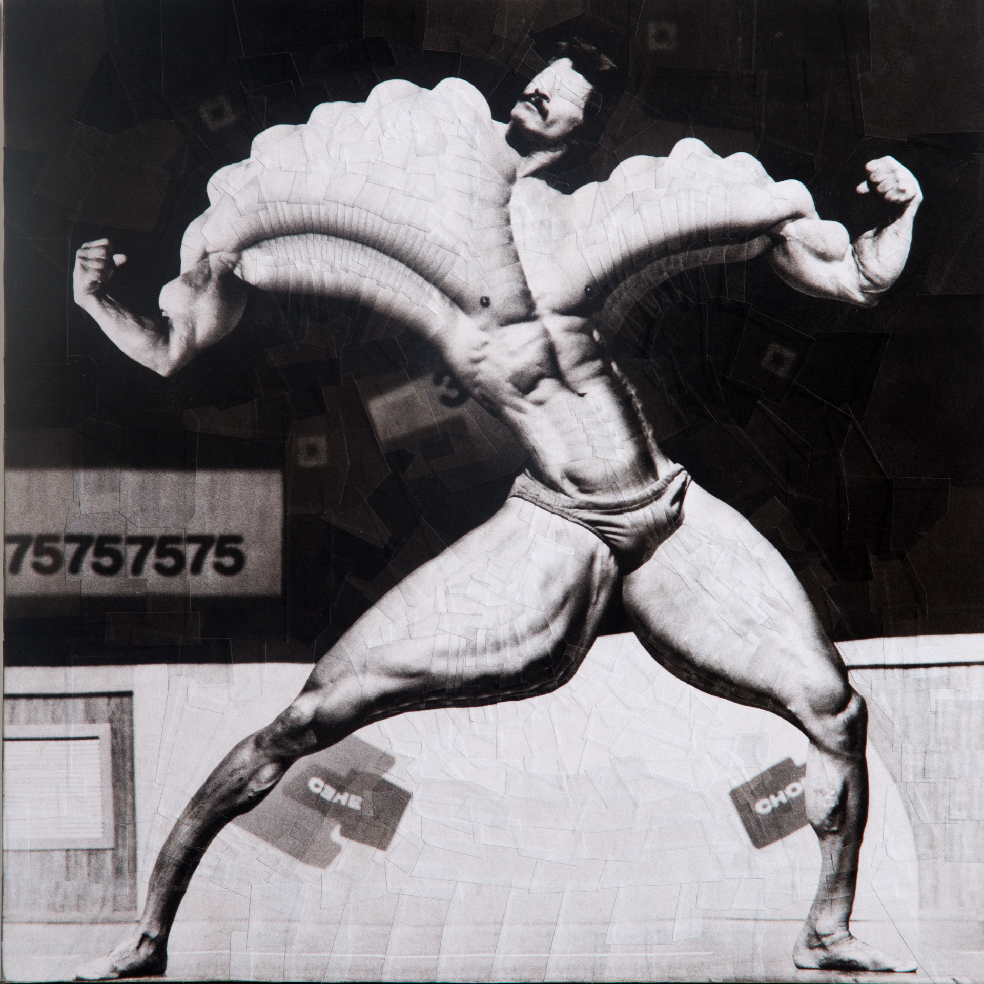 Potato Fiddler, 2013, 14 x 14 inches