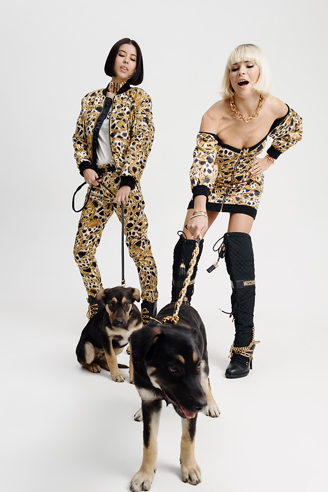 h&m moschino dog collection