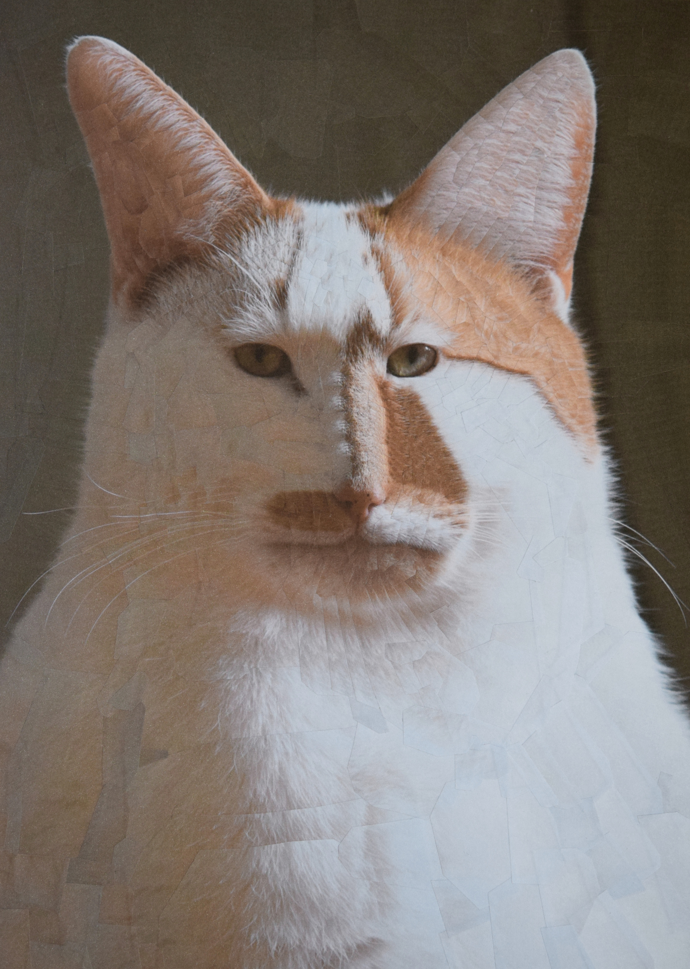 Charlie revisited, 2018, 9 x 12.5 inches