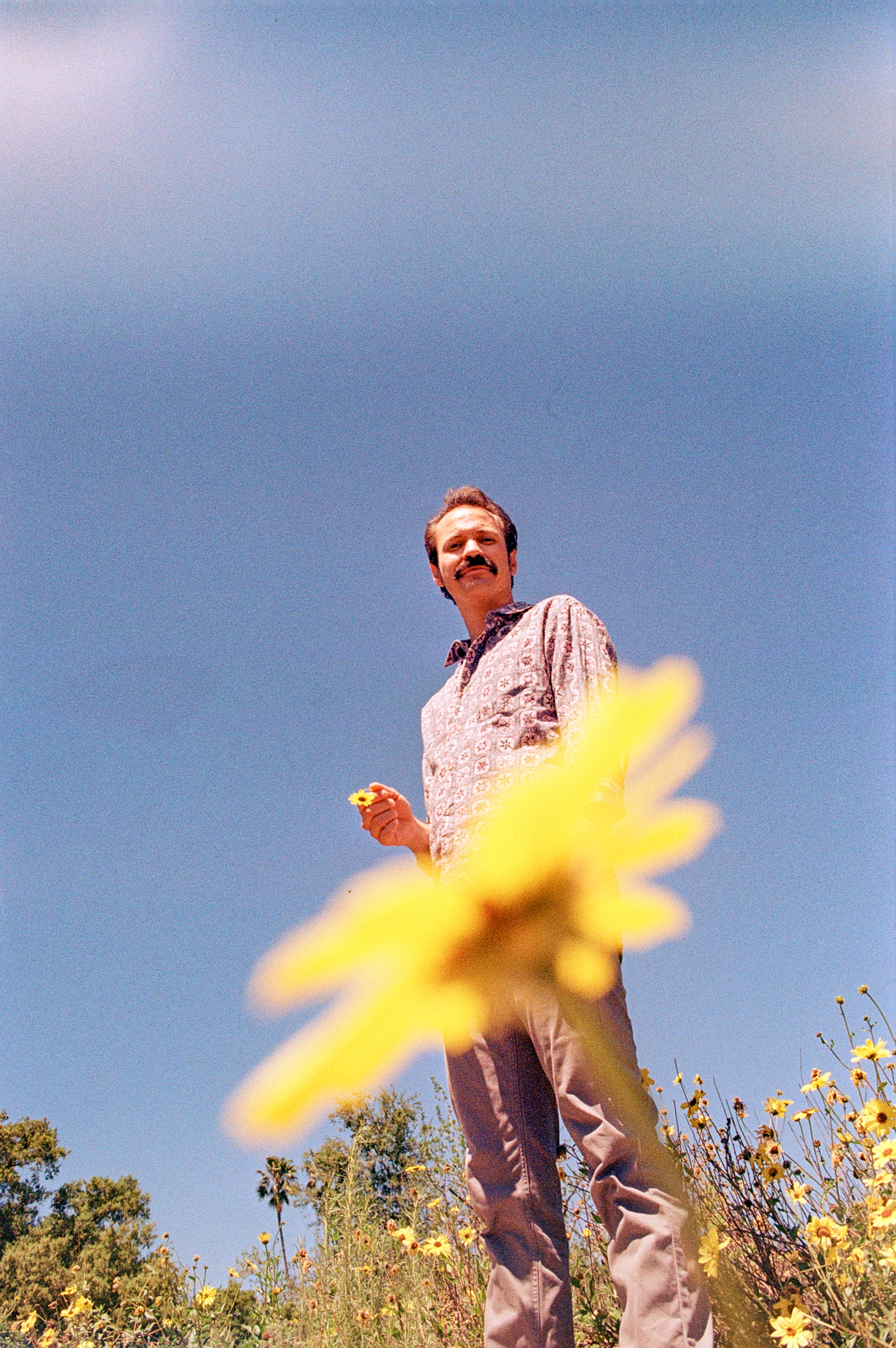 DAN DESTINY, Altadena, CA 2024