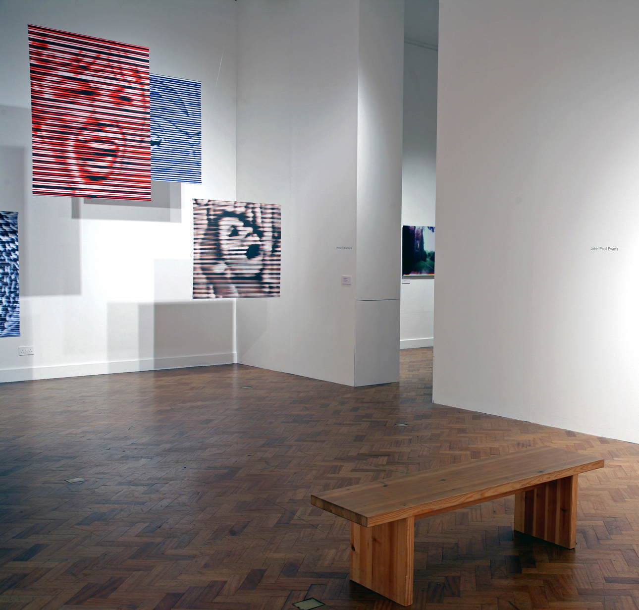 Unreliable Truths, Silent Scream Installation, Glyn Vivian Art Gallery and Museum, Swansea, Wales. Digital prints on Vinyl, 2009