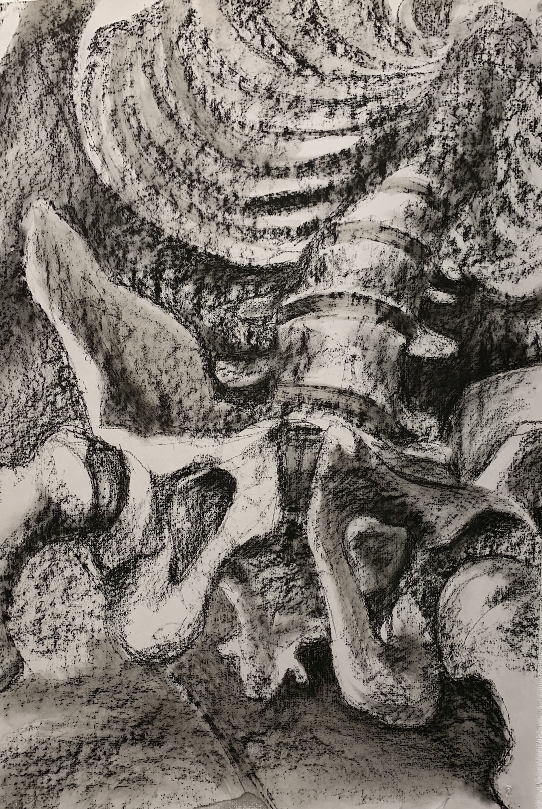 skeletal study. 2021, 2' x 4'