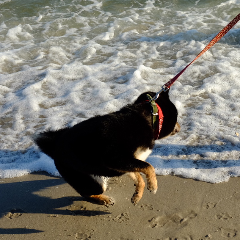 412 Precondition Failed