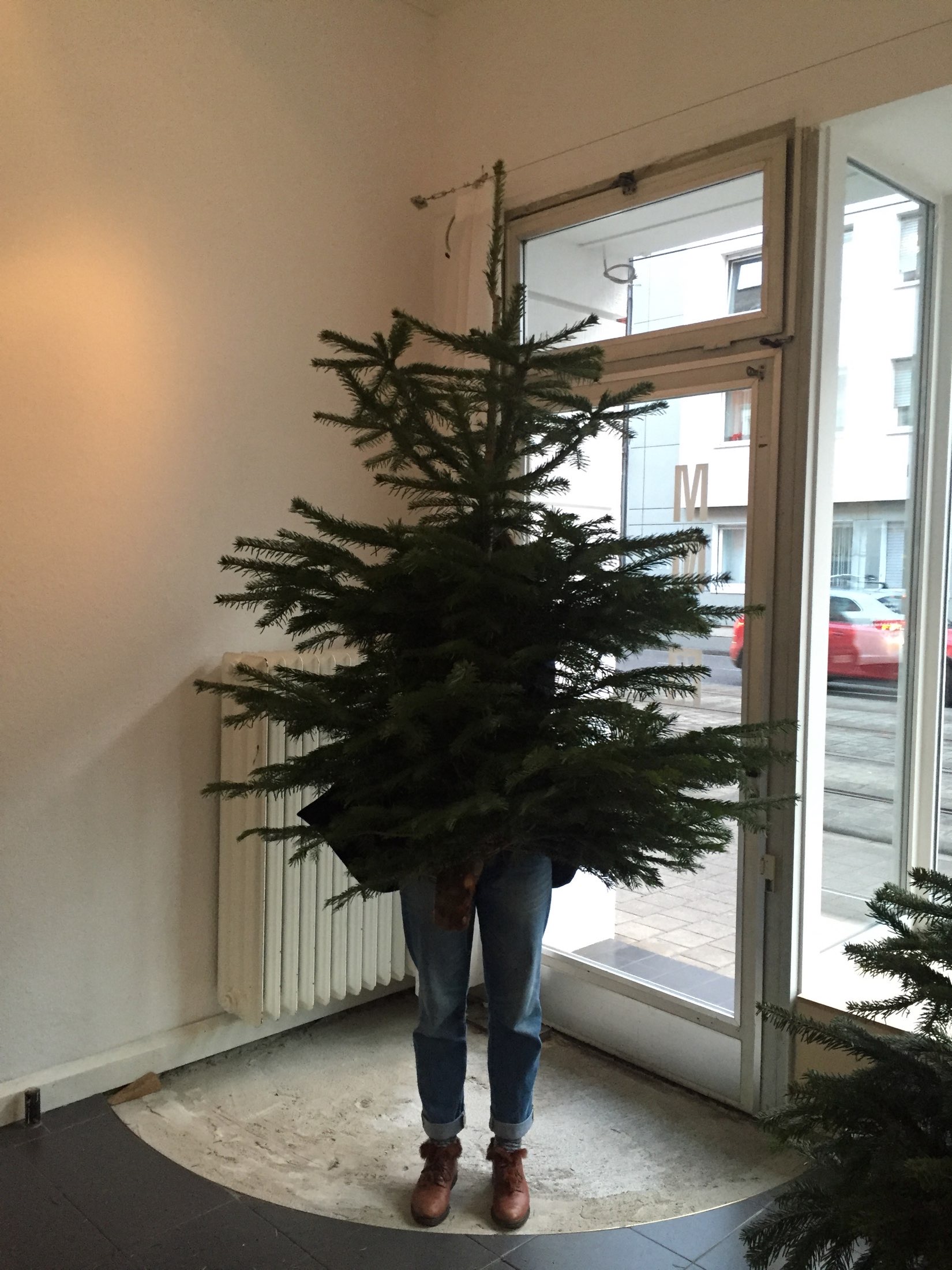 da-da-da 3: Die Weihnachtsbäume finden ein neues Zuhause