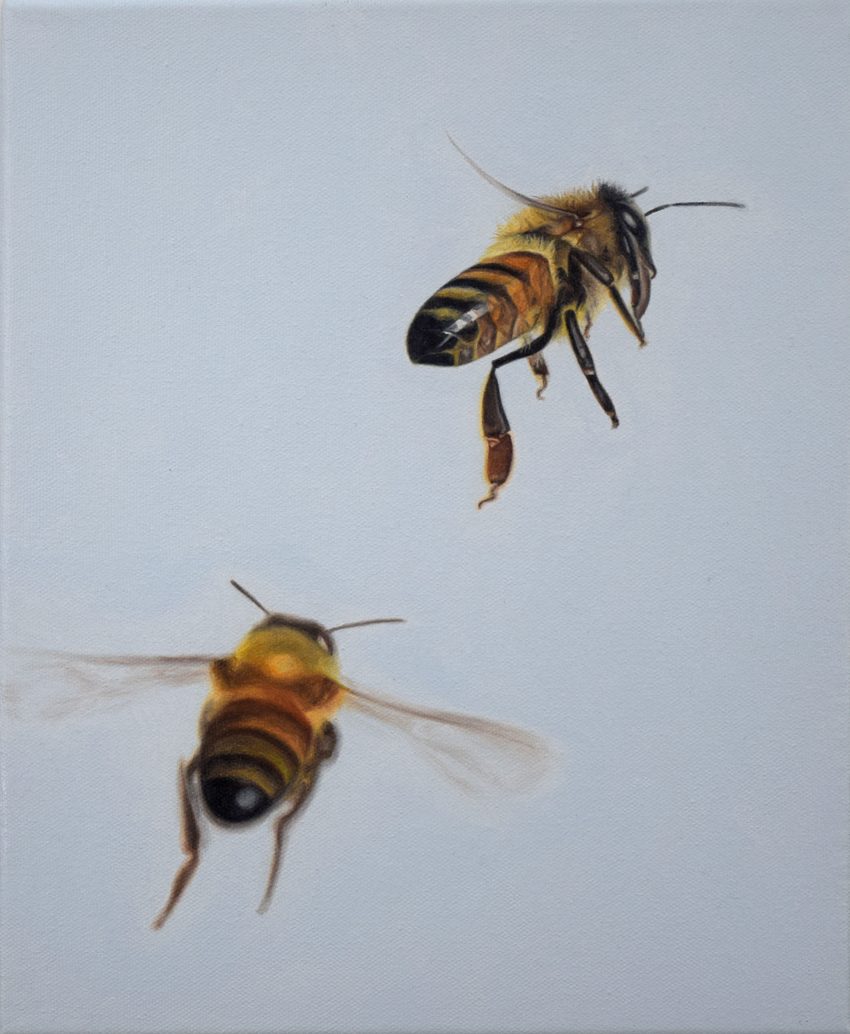 Bees I 2020 Oil on Canvas 12"x10"/30x25cm