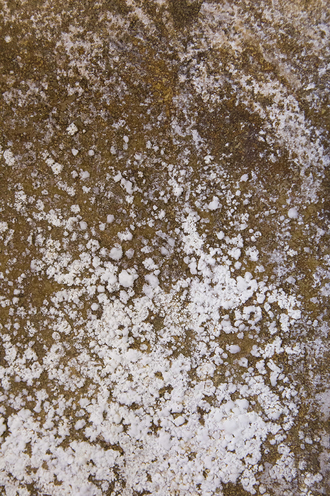 PHOTOGRAPHY RAF STUDIO for YOSHIDA's FARM at  VILLA KUJOYAMA