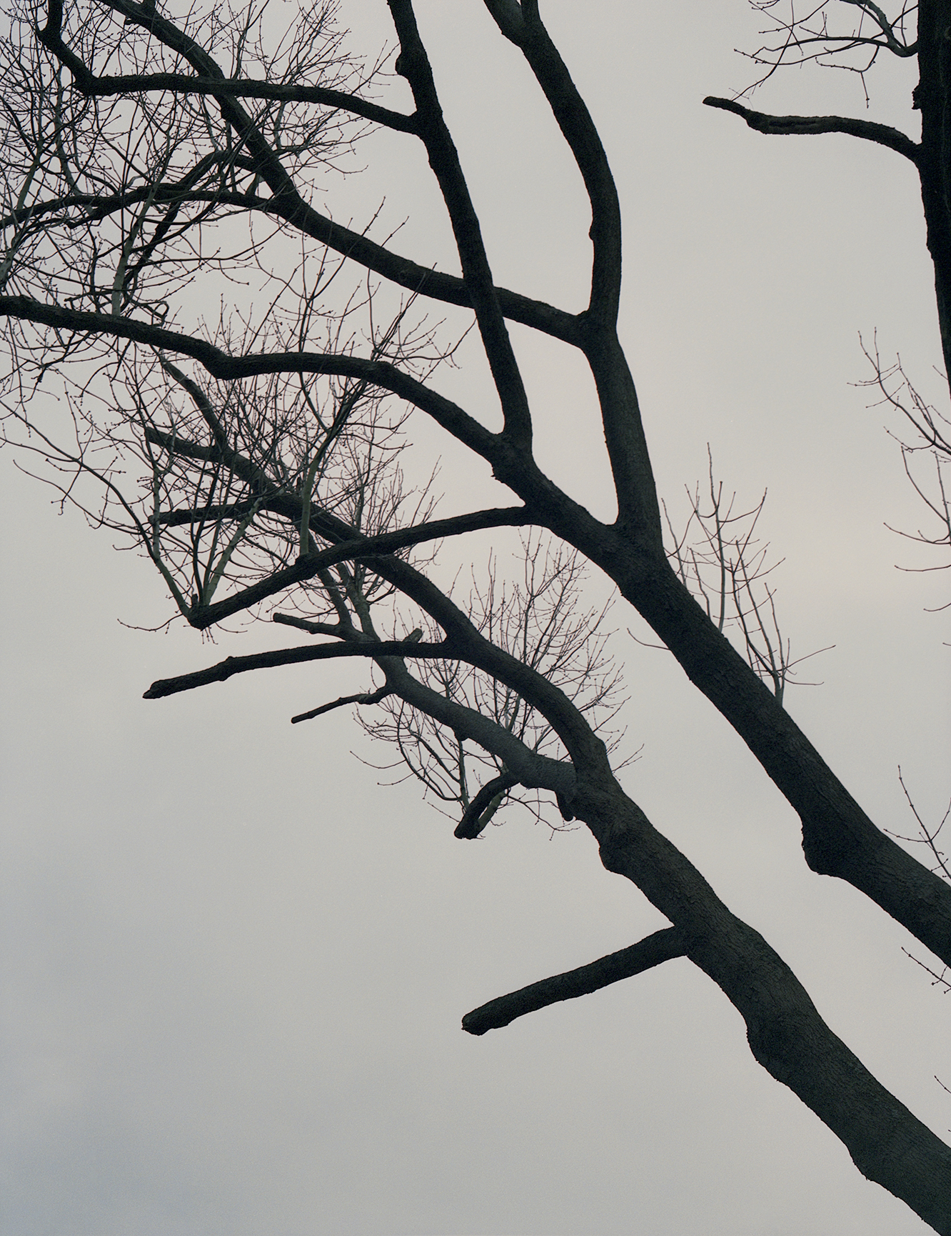 When the Waves Are Flat - Metal Magazine. (5/15)