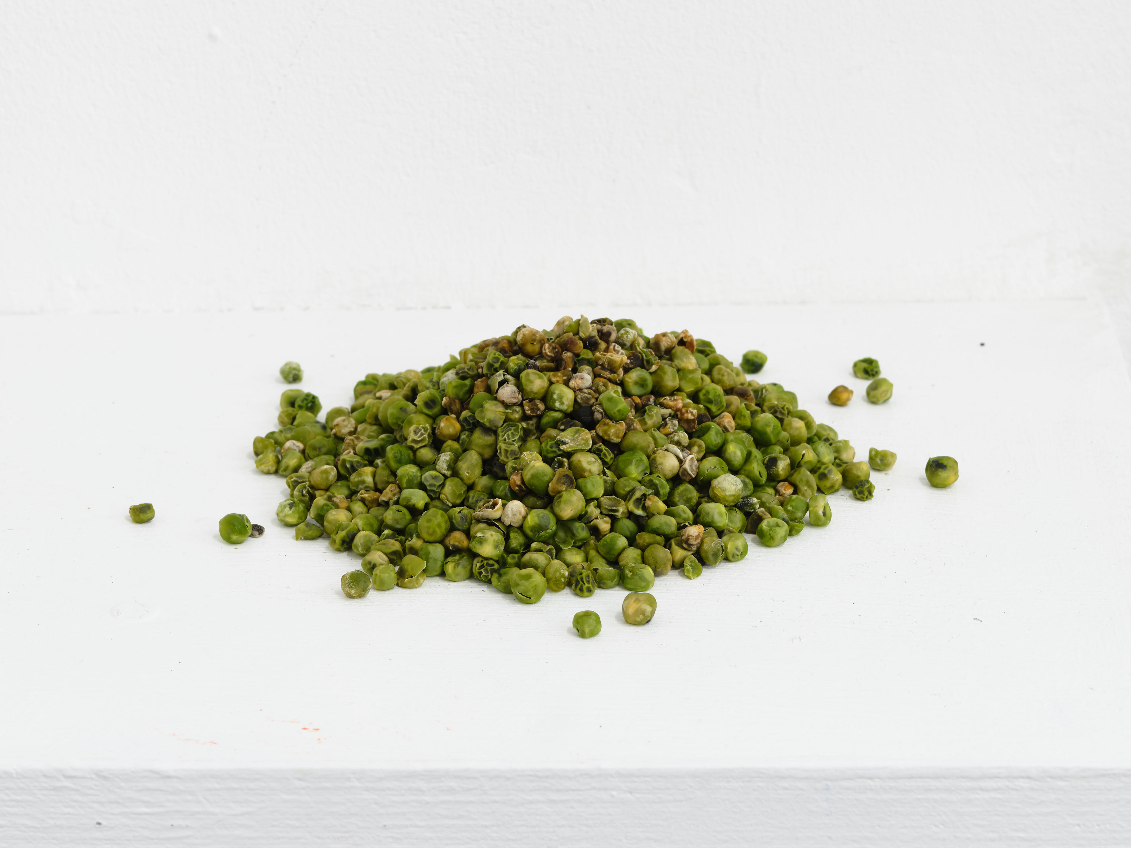 Barter, 2023, peas. Jasmine Pajdak[photo credit: M8R8S Studio]