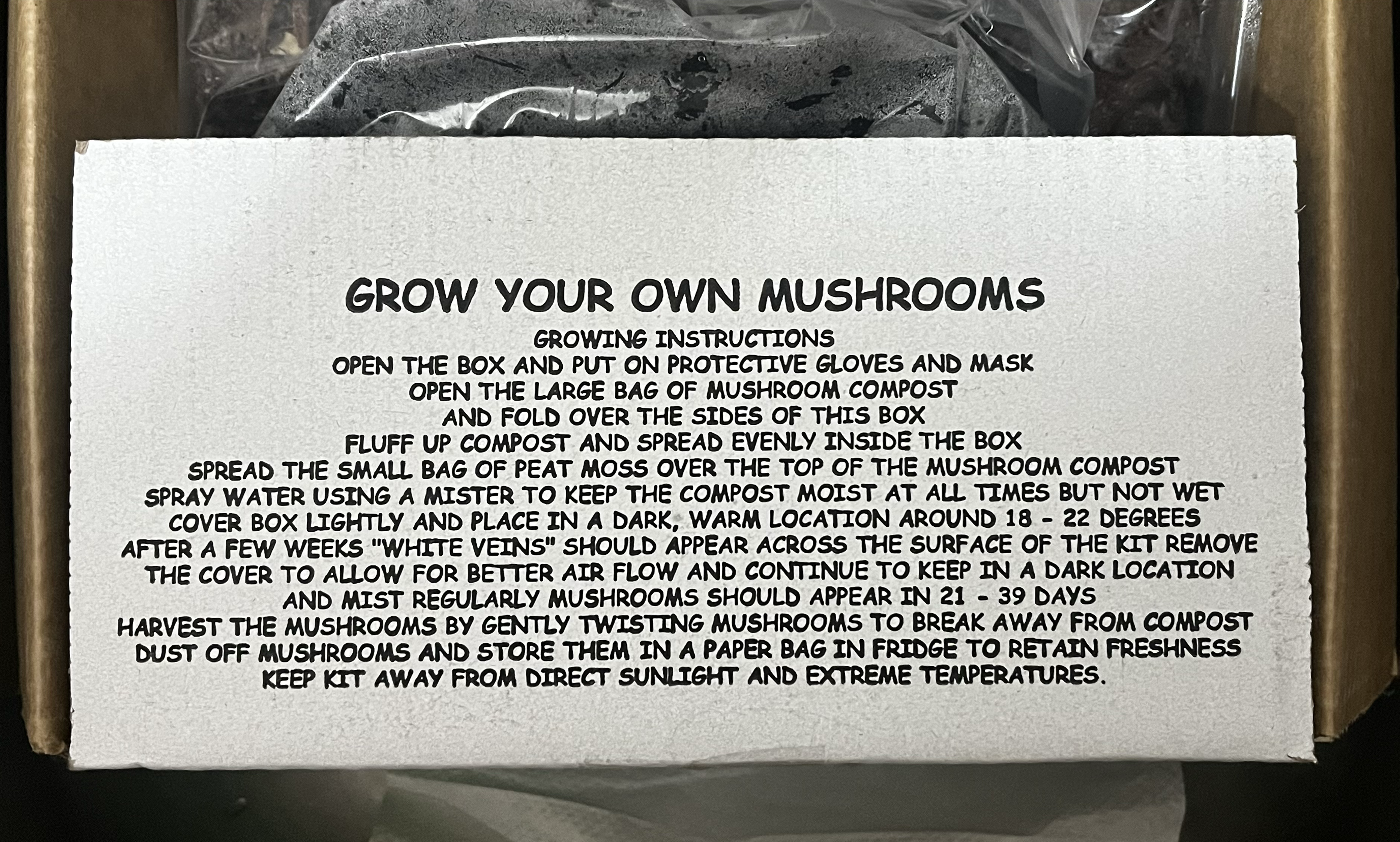 Instructions provided from the Mushroom Kit