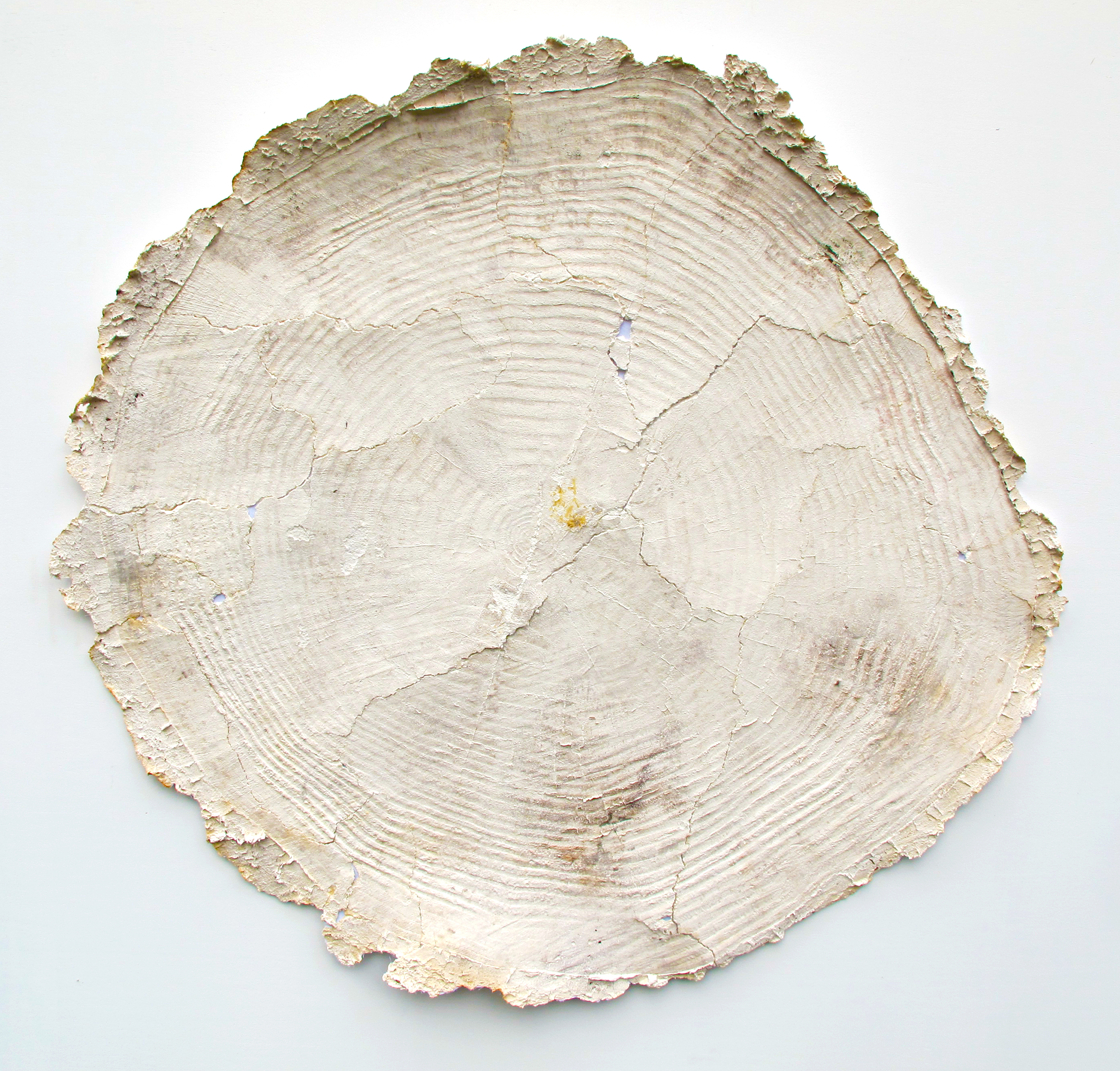 All the Kings Horses & All the Kings Men.,  2016, cast cotton rag & mica, 38 x 38"