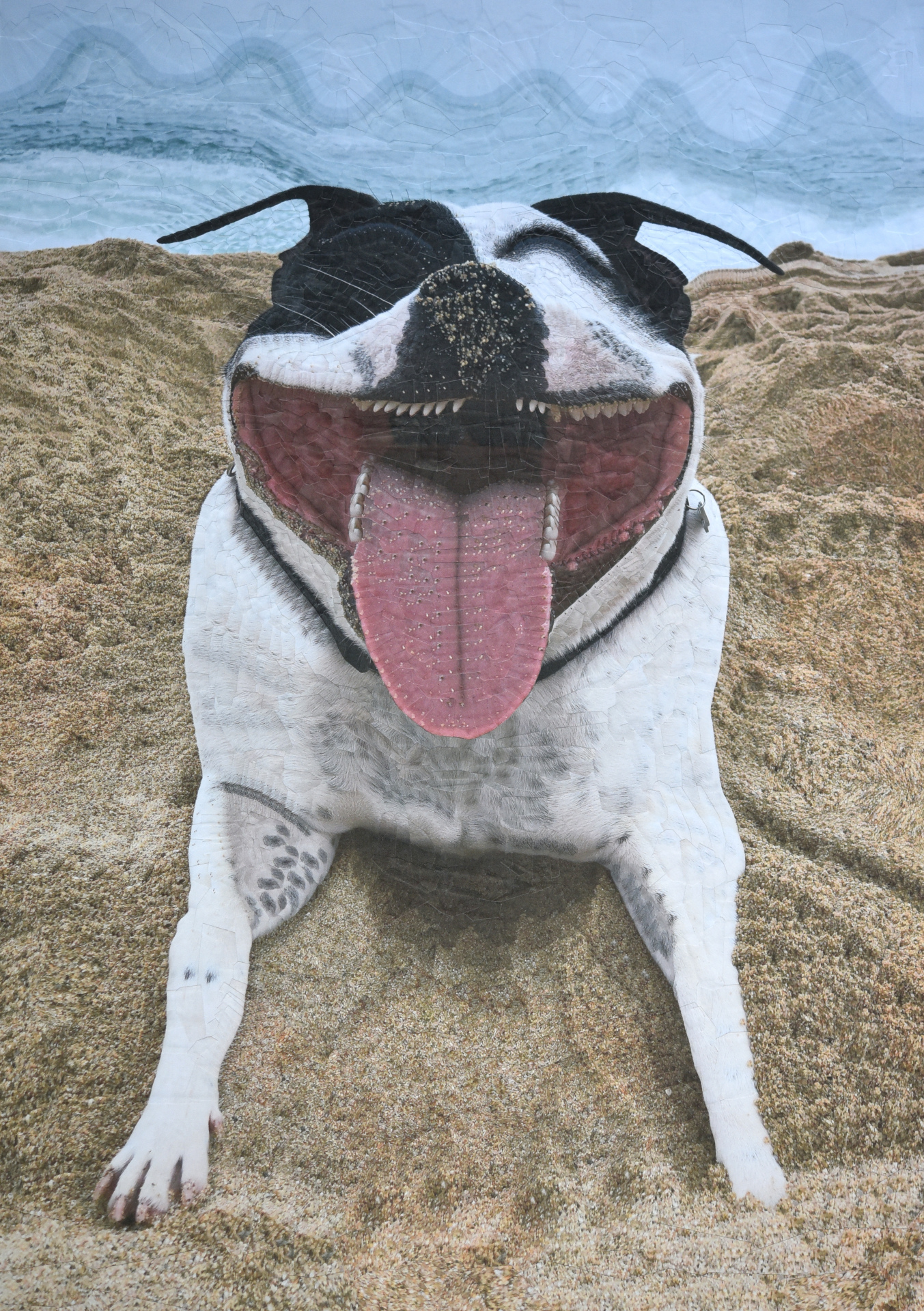 Patch, 2019, 11.5 x 16.5 inches