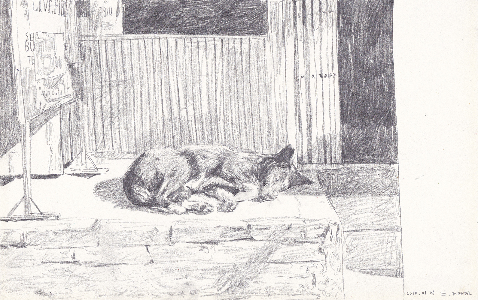 Sleeping dog in Kathmandu, 2018, pencil on paper, 17*24.1(cm)