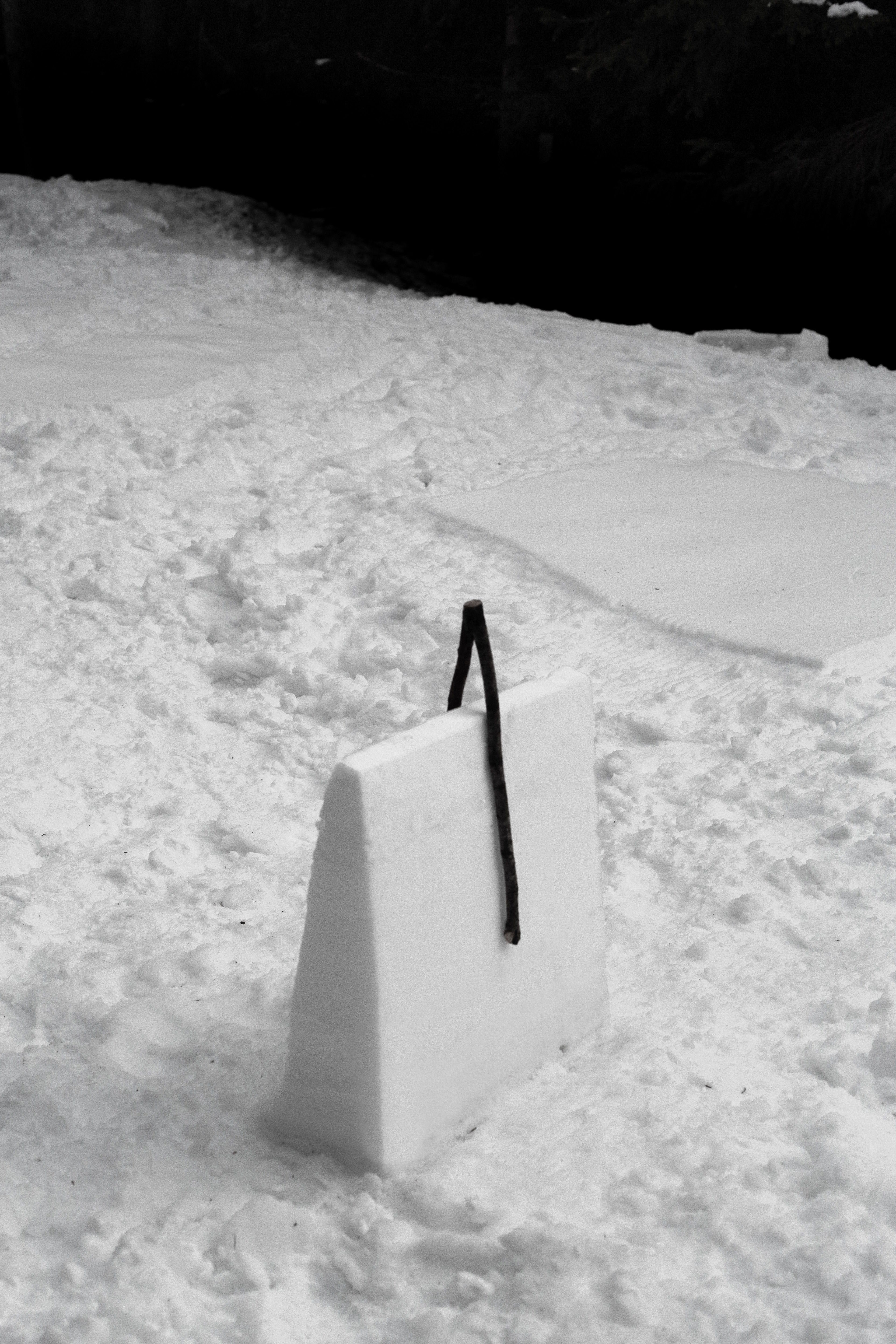 Quand fondra la neige, où ira le blanc ? Chamonix, 2020