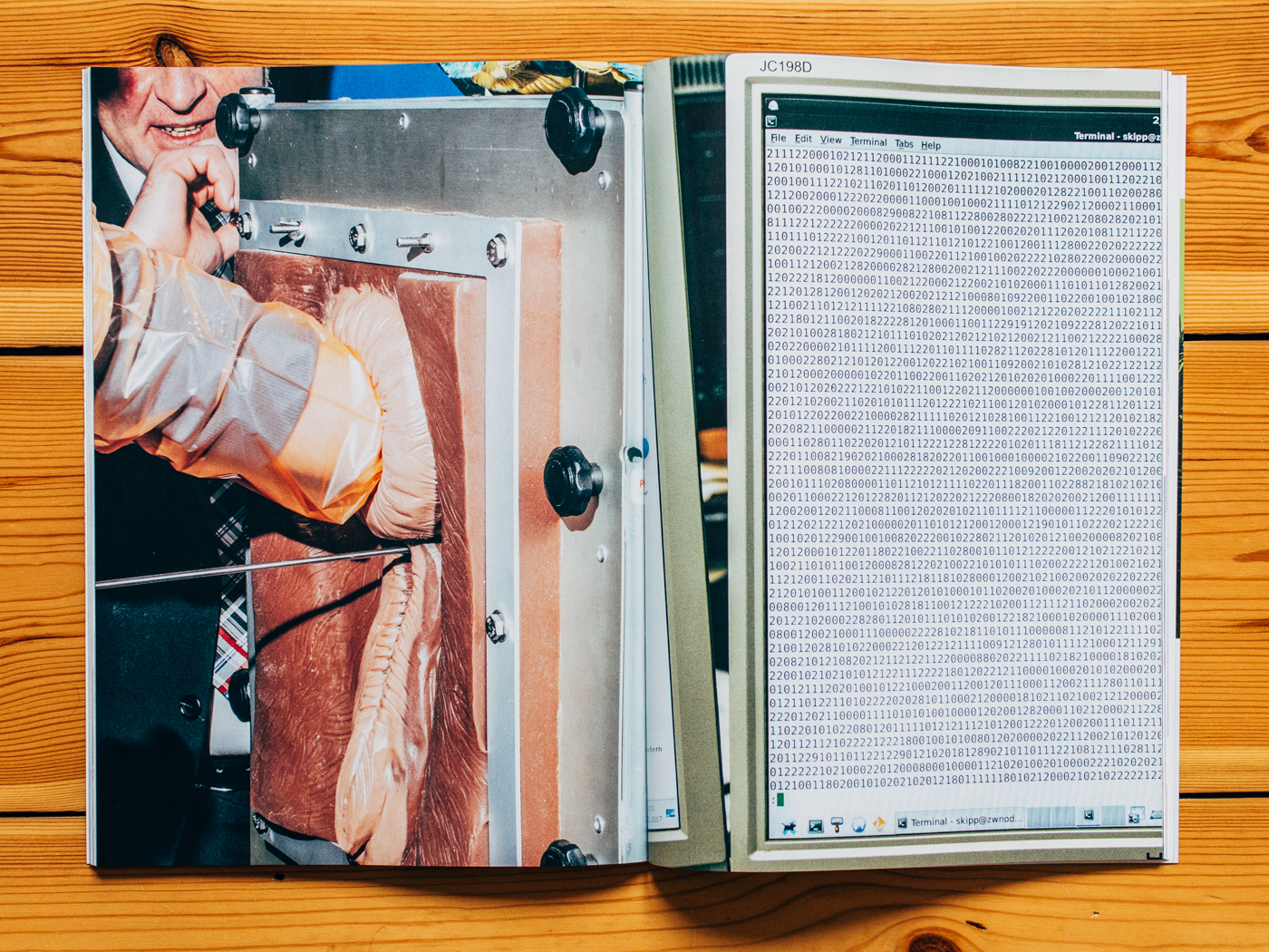 FuturZwei / Hornless Heritage / Dezember 2018