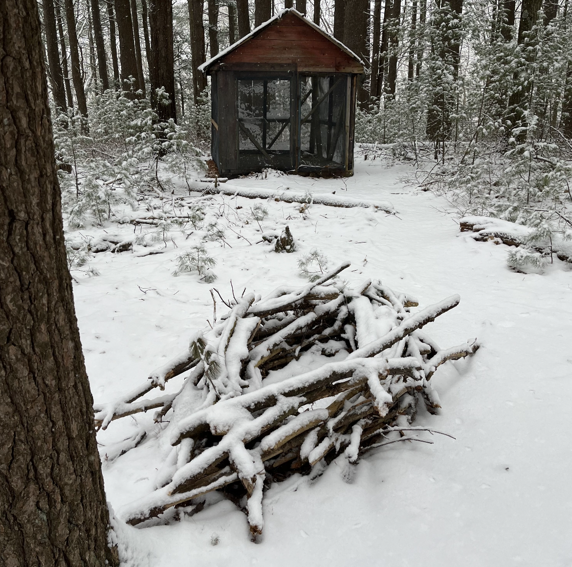 Nesting Project, 2022
