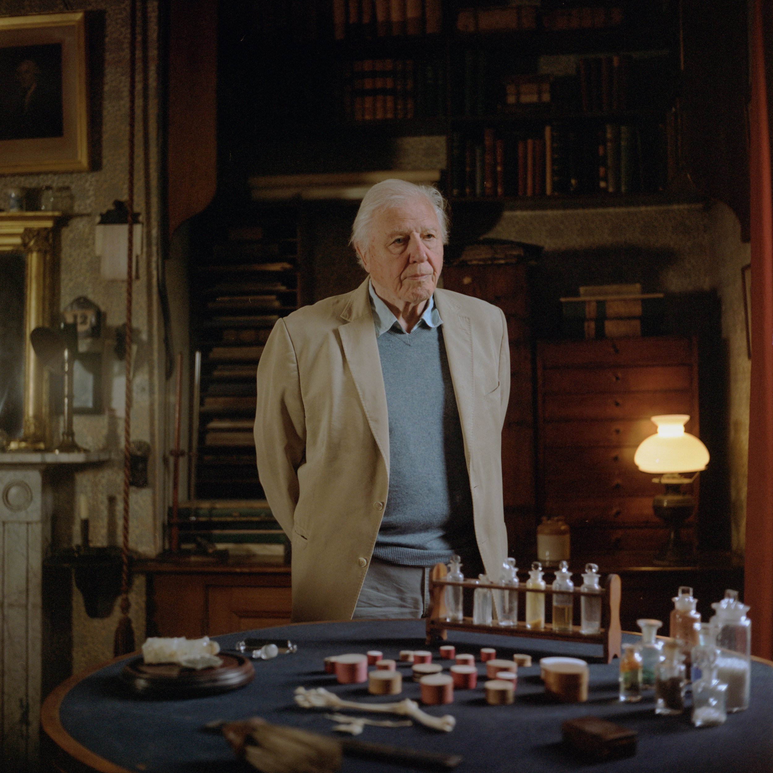 David Attenborough for English Heritage