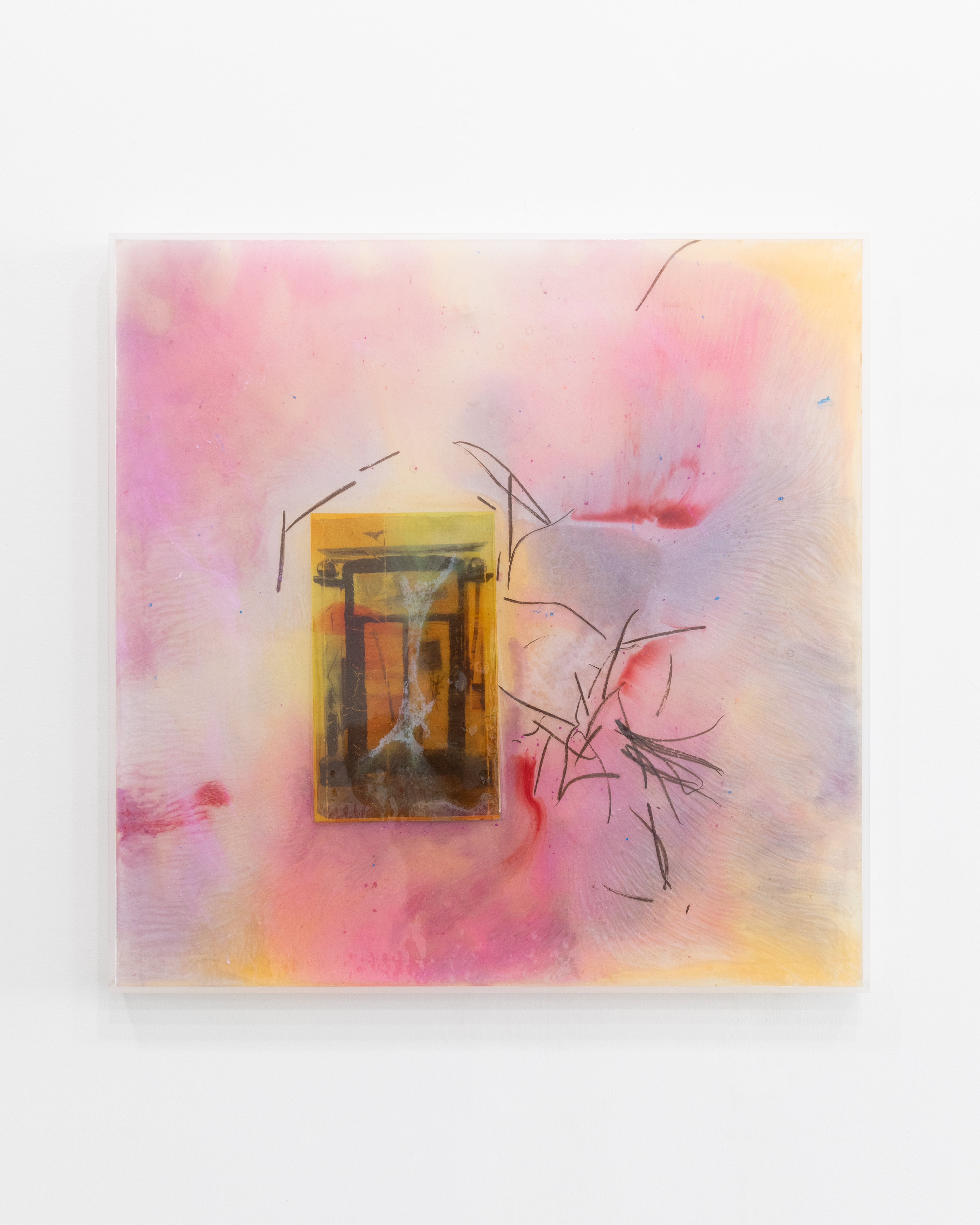 They come, they go away, we're here to stay, 2025. Resin, pigment, photograph on vellum, and peacock feathers. 24.5"L x 24.5"W x 2"D