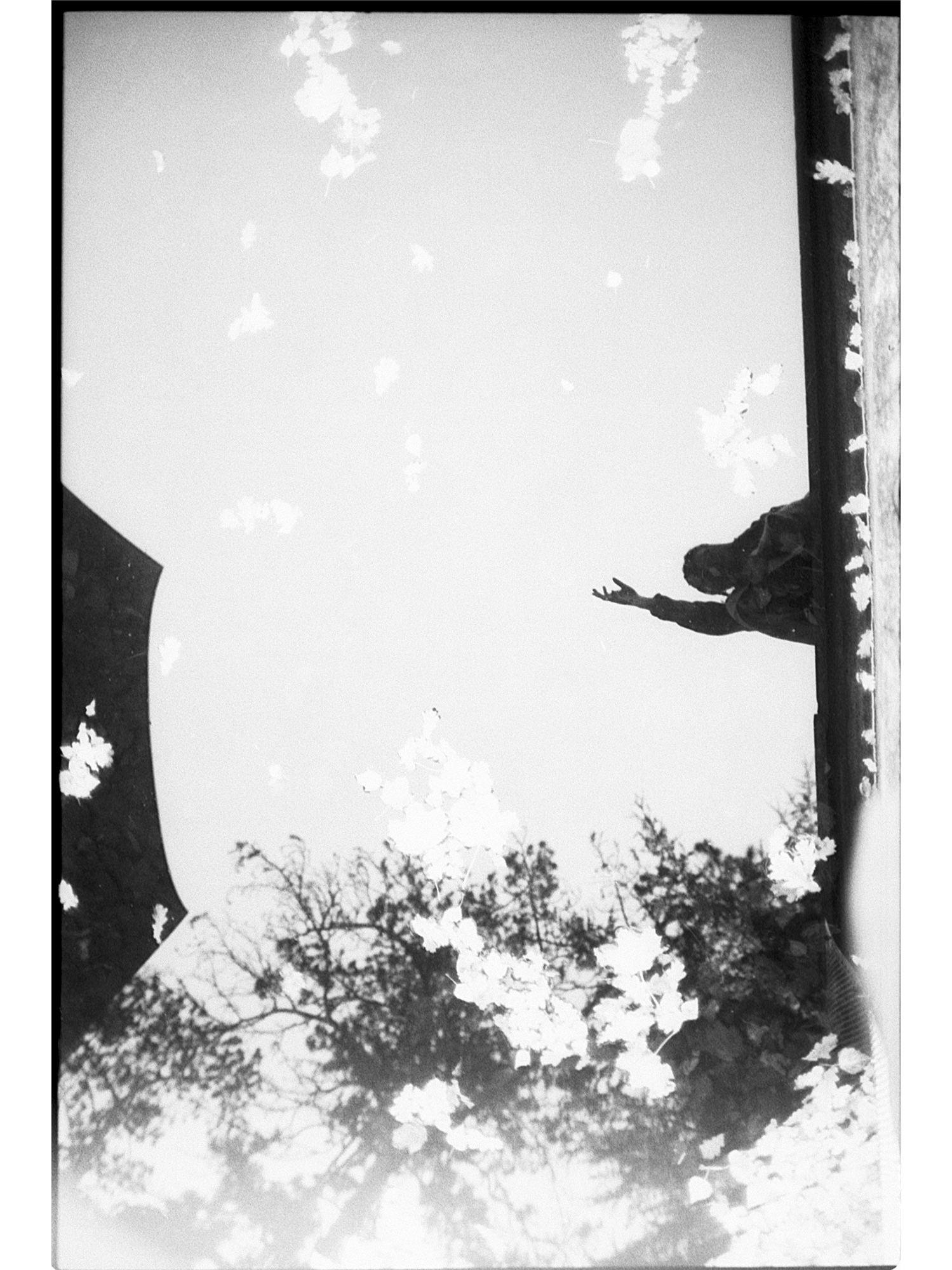 Twenty Love Poems & a Song of Despair - Pablo Neruda