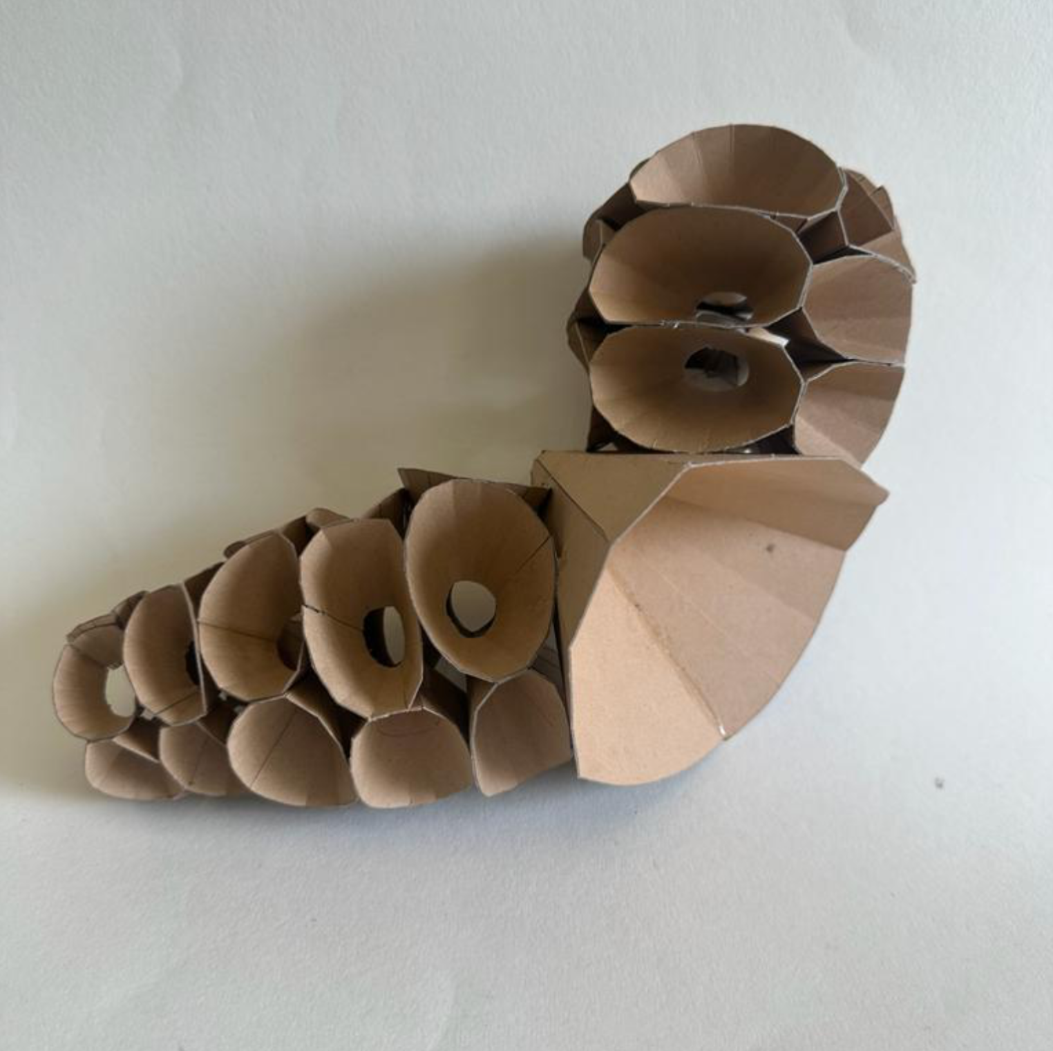 Sem 01 | Pattern and Geometry