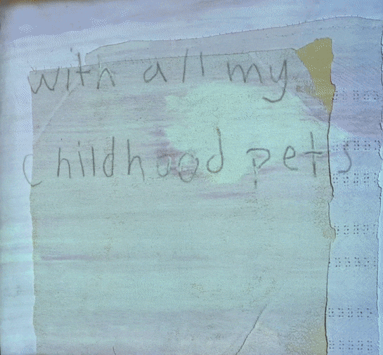 in warm pink light, with all of my pets