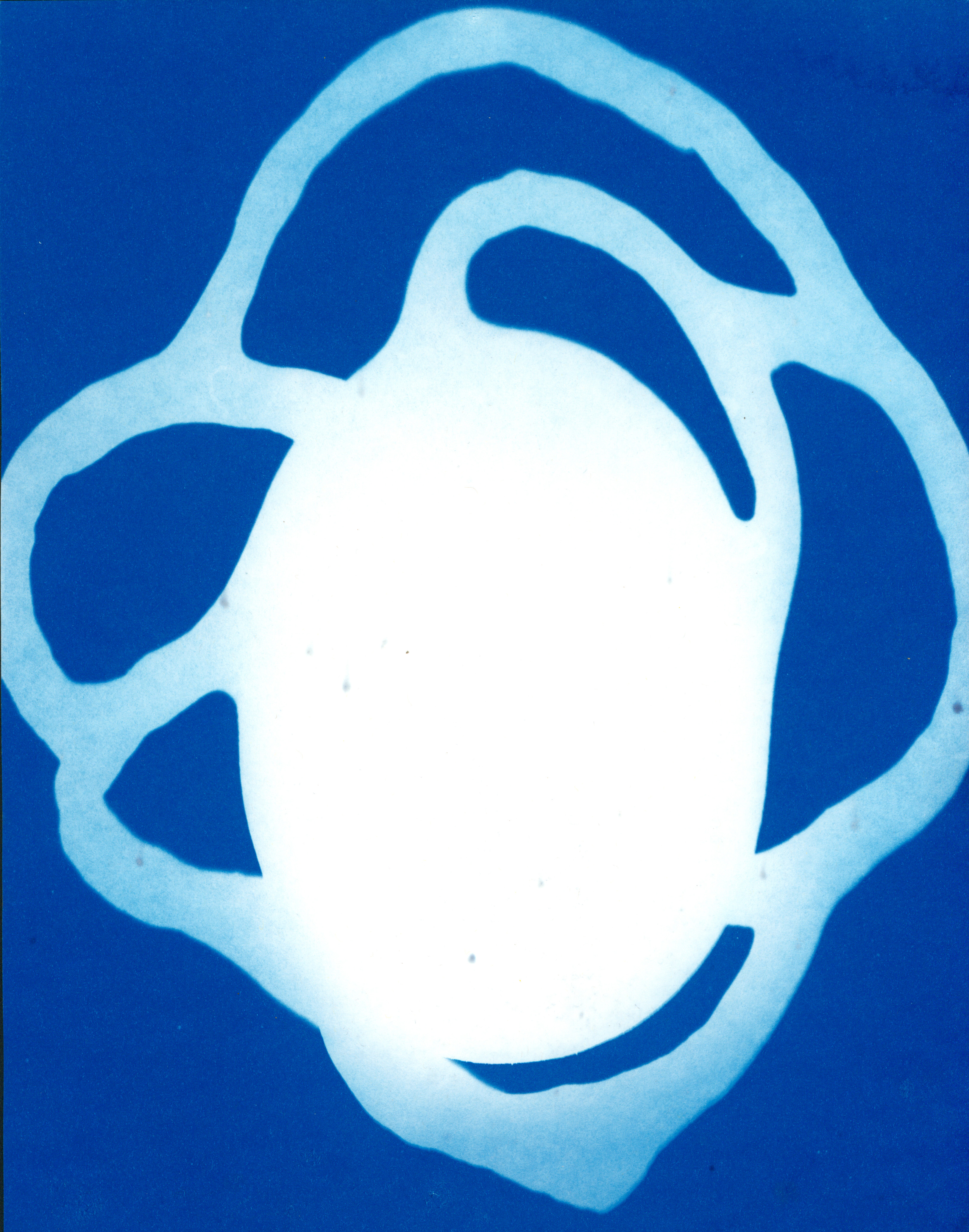 Branched Shadow, cyanotype print on paper, 11 x 14 inches, June 2022
