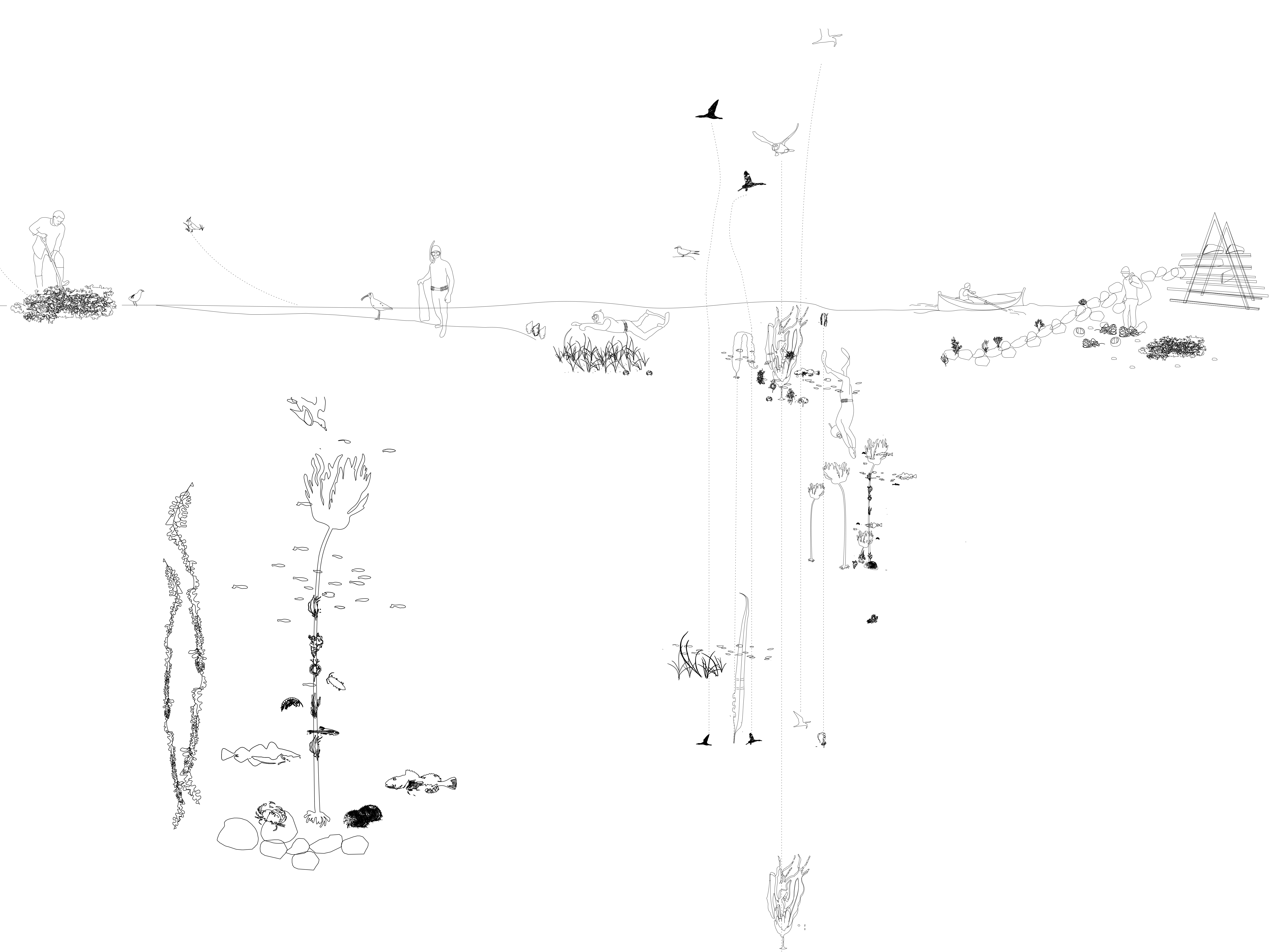 Sildegapskogene  Tora Nitter, Kristoffer Apelseth Liadal, Helene S&oslash;rland