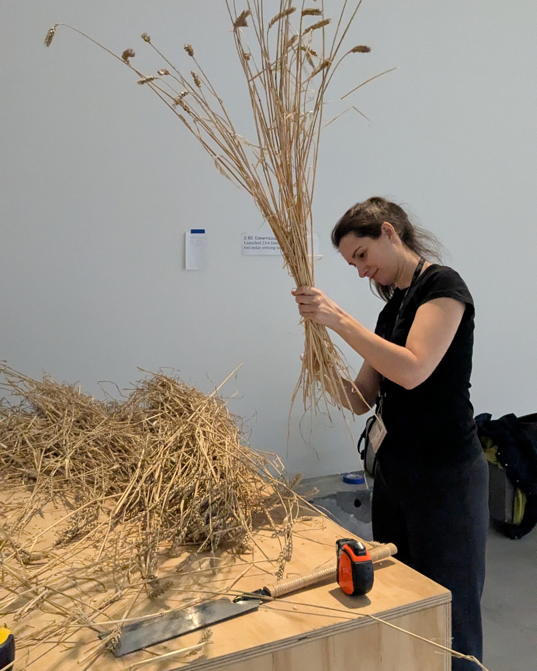 Working with straw for a Simulaa exhibition