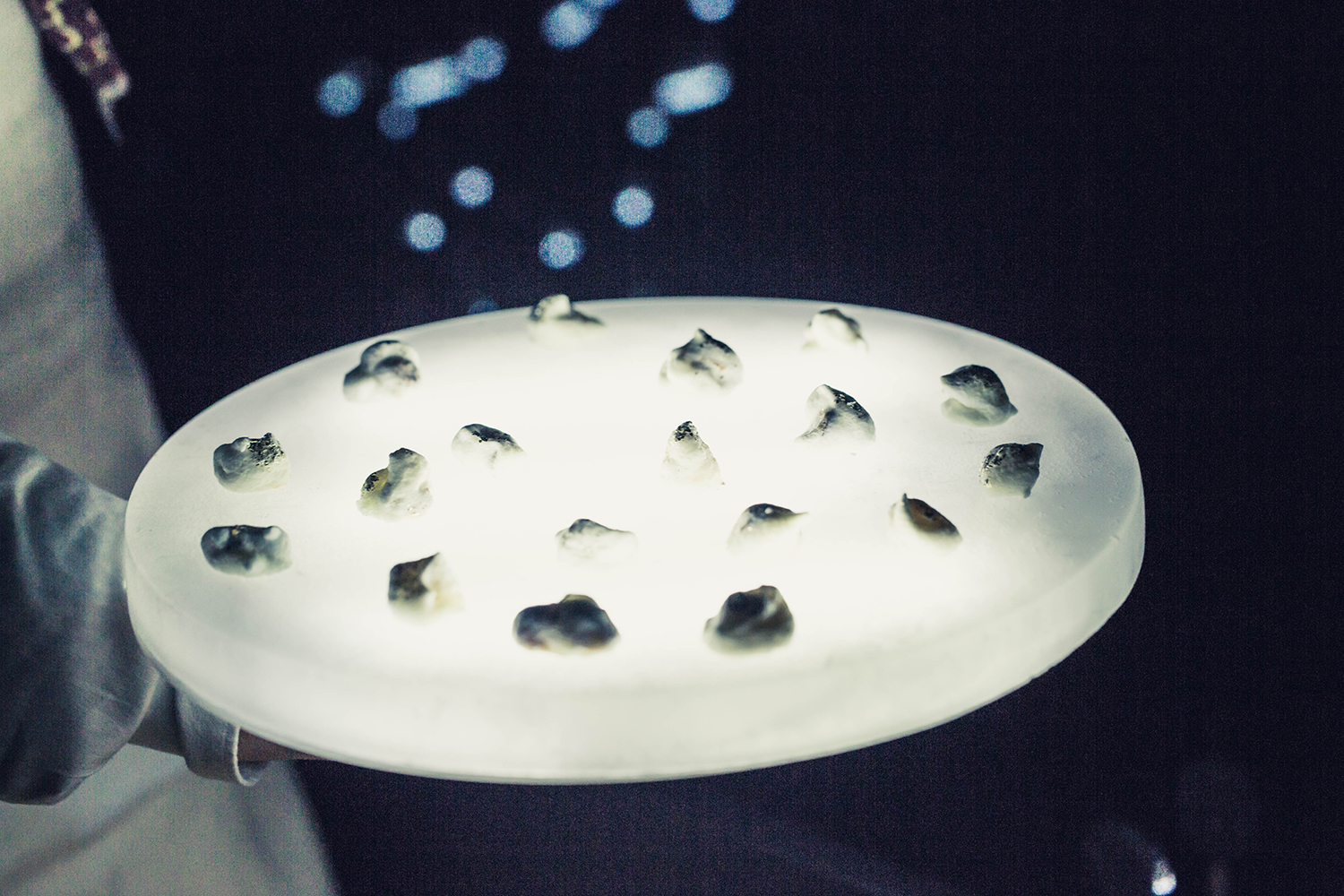 #Limitless Co-existence12/13