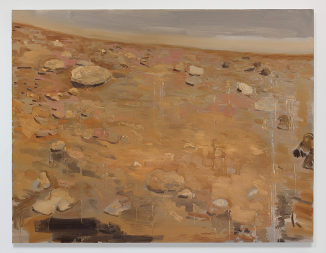 Paisagem com pedras (taking by Viking 2), 2016, &oacute;leo sobre tela, 140 x 180 cm