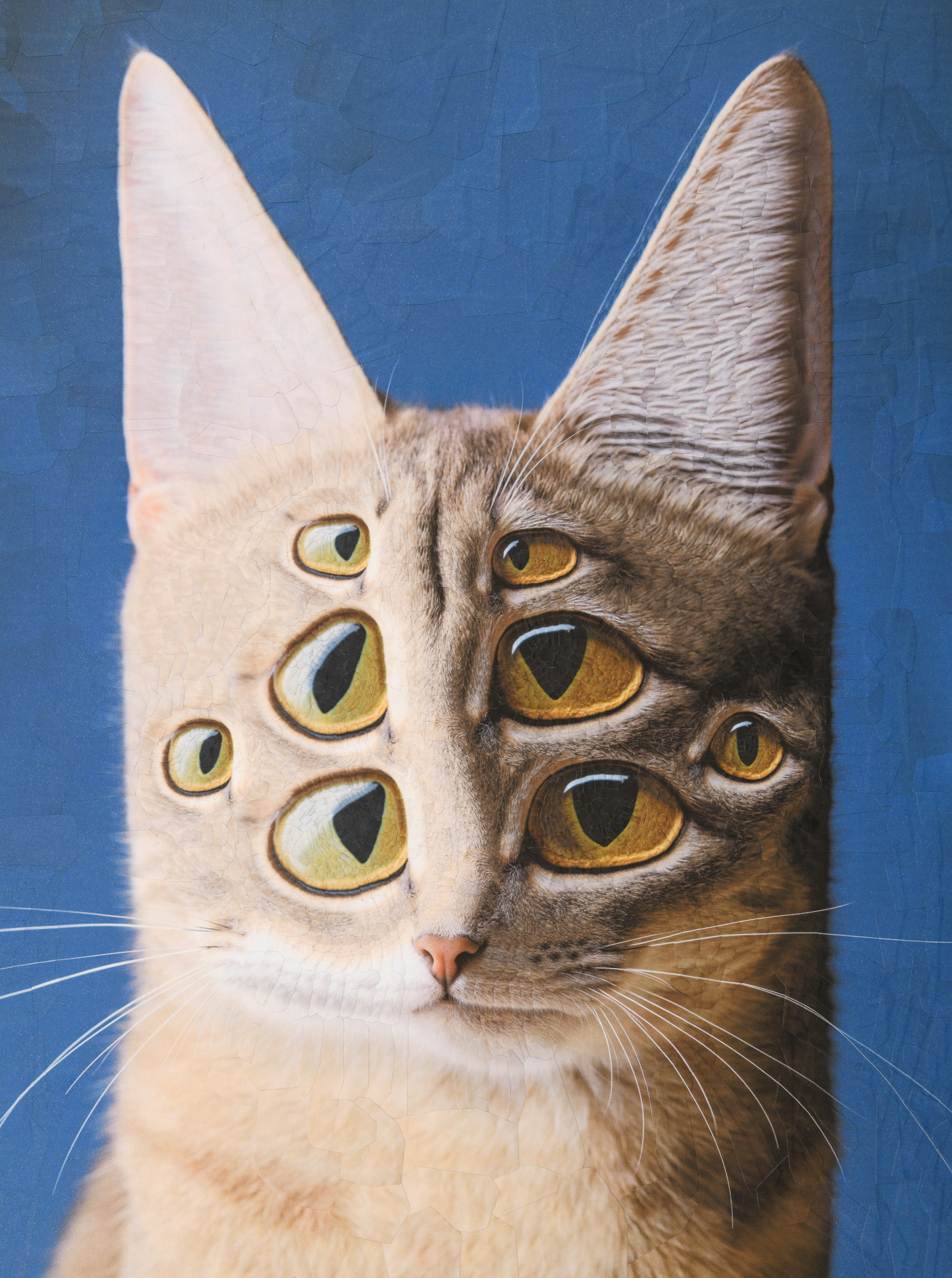 Eli, 2024, 12 x 16 inches 