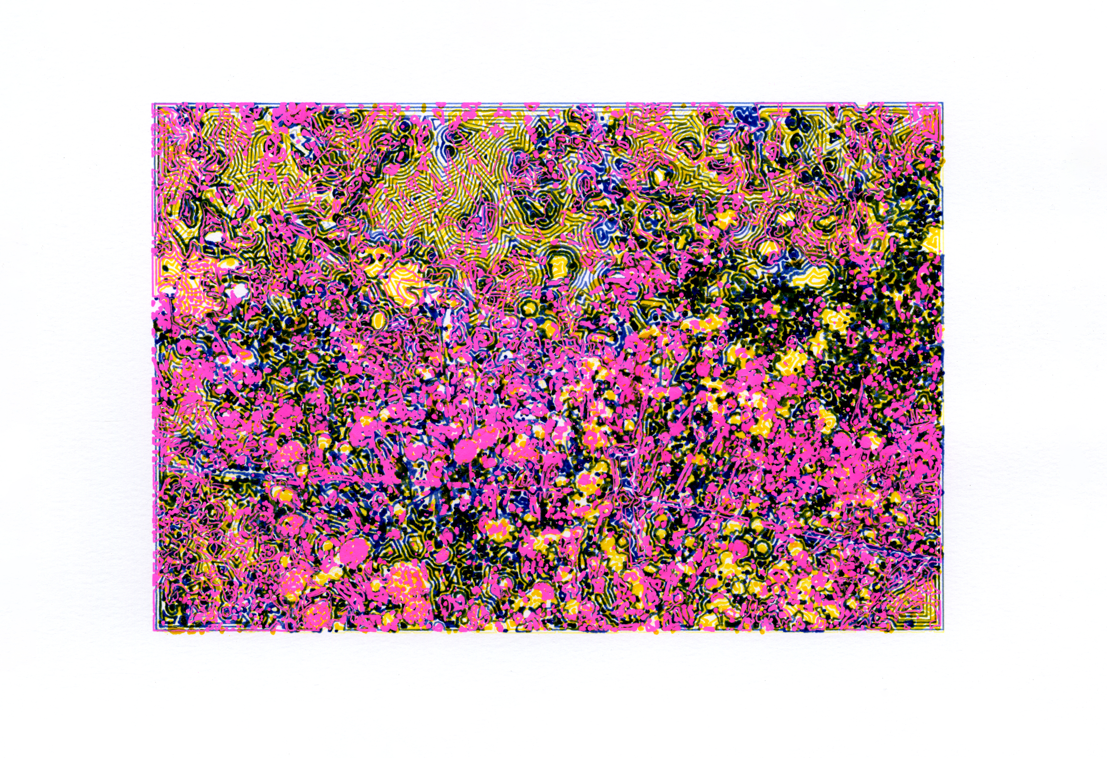 Brooklyn Botanic Garden #2, 2022; Gel ink on paper (3 colors); 11.25 x 7.75