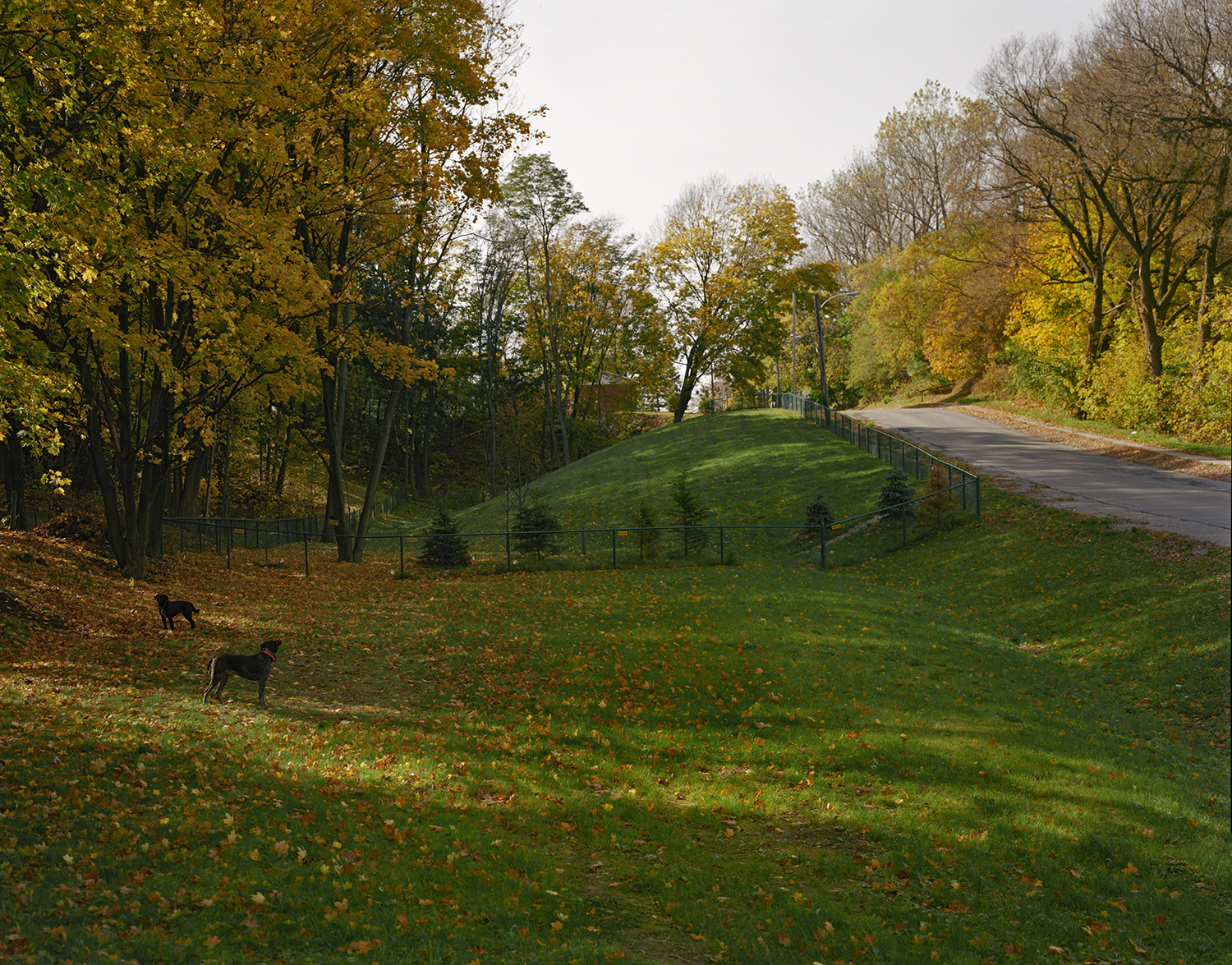 Strachan Street Ravine, Consolidation Site, Port Hope, 1992