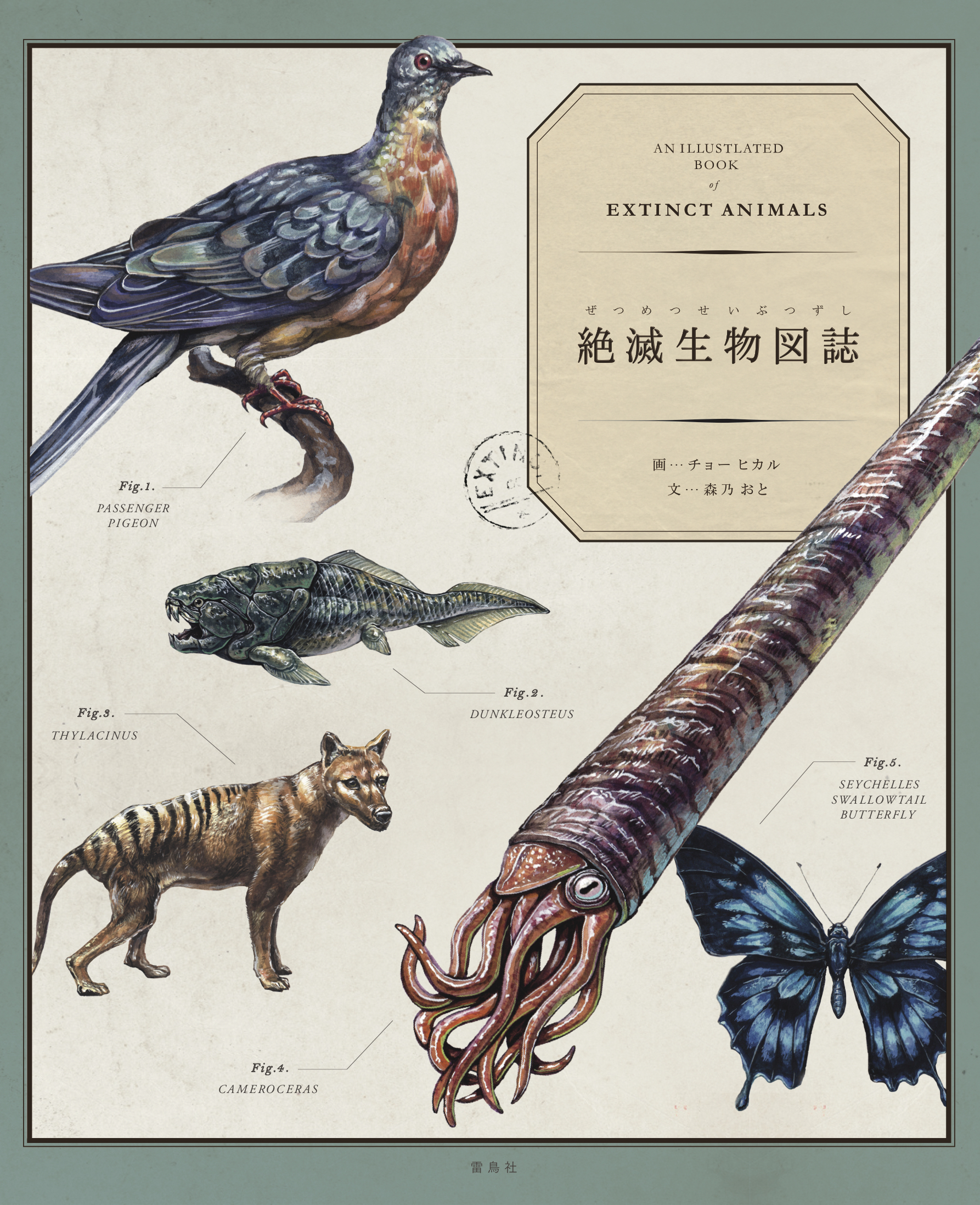 An Illustrated Book of EXTINCT ANIMALS - Hikaru's Portfolio