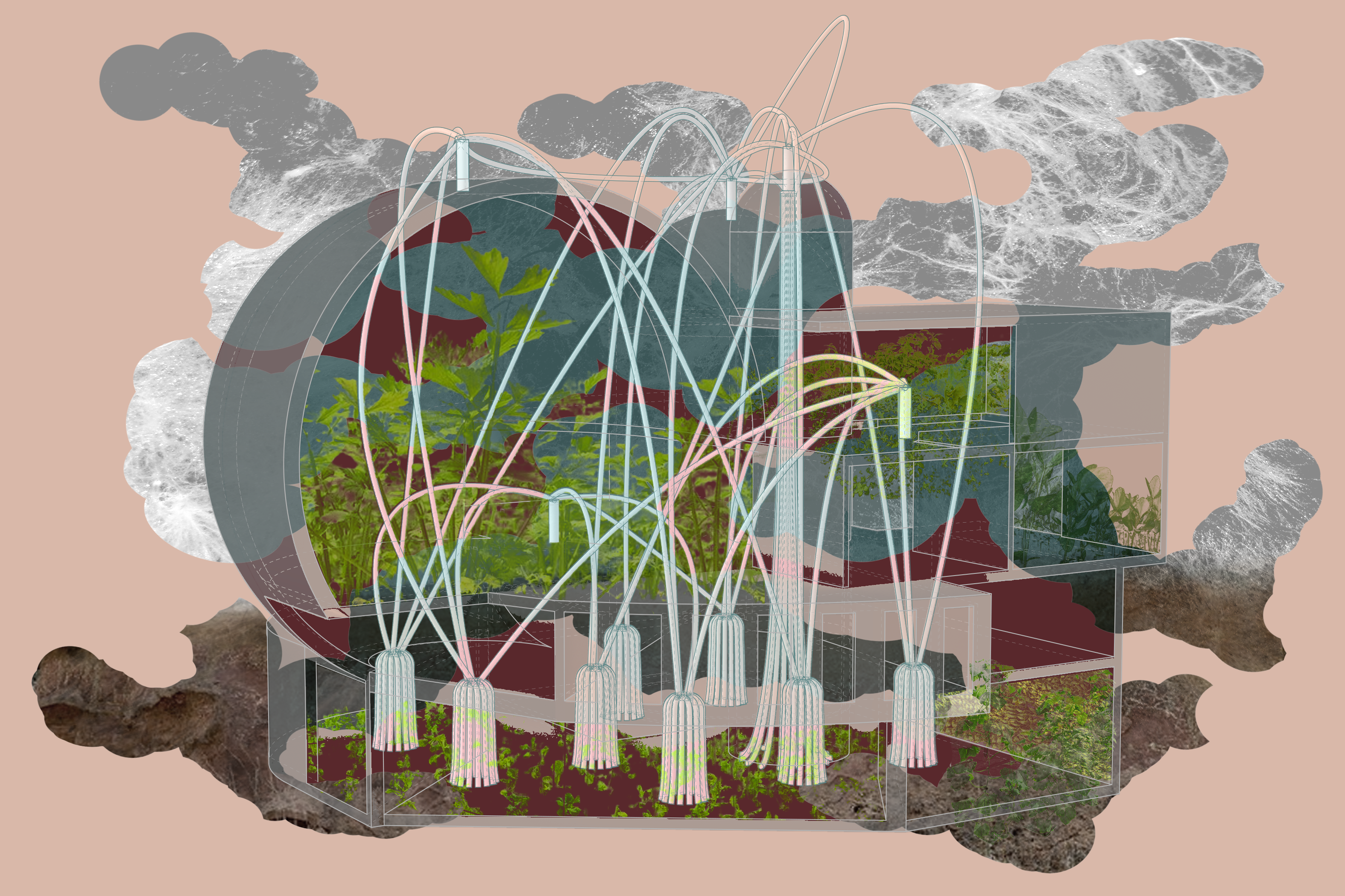 TAB2022 graphic by Sonia.