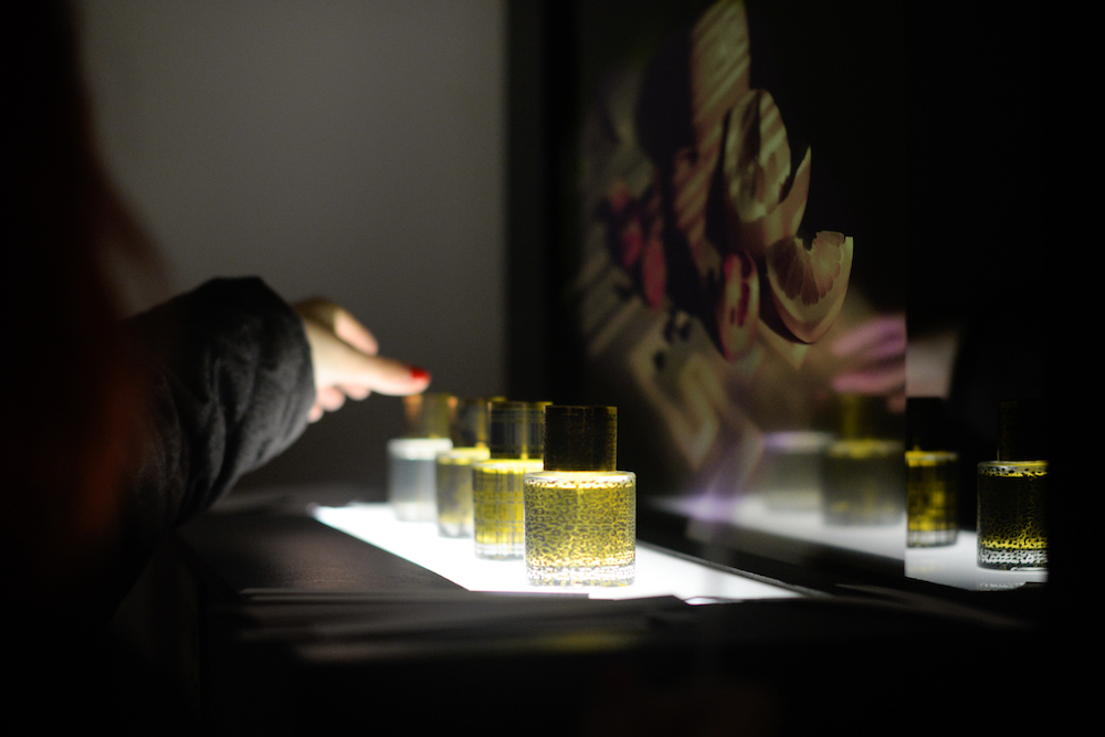 Installation View: Sarah Baker, 'Sarah Baker Perfume: Sixth Floor' (2017). STOREFRONT, Luton, UK.