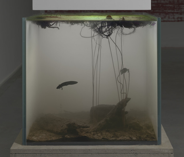 Pierre Huyghe, Nymphéas Transplant (12.21.1914), 2014, Live pond ecosystem, light box, switchable glass, concrete, 189.5 × 113.3 × 103.5 cm