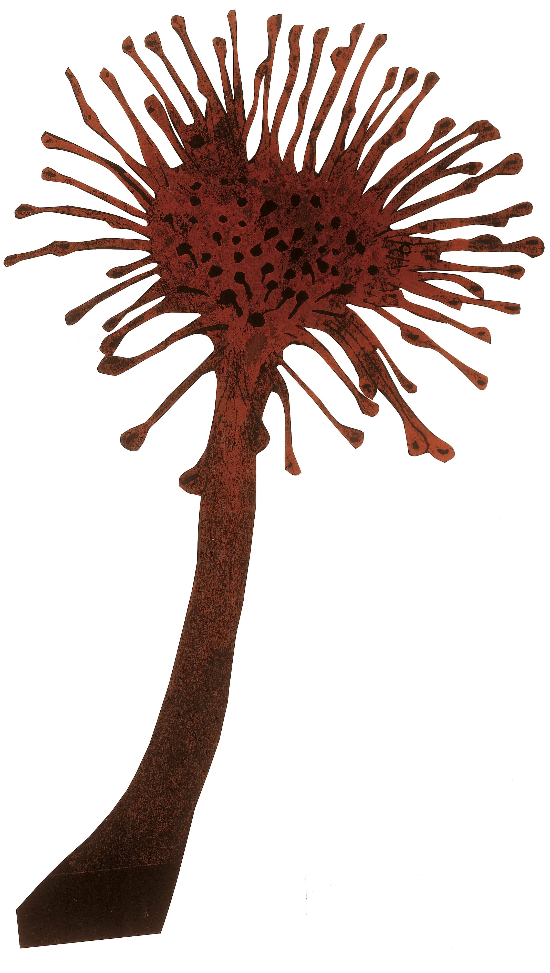 Forrest plantLinocut printed in red oil on black paperSerie: Haensel and Gretel/Text: The Brothers GrimmÉditions Être, Publisher: Paris Hinstorff, Rostock, 2007