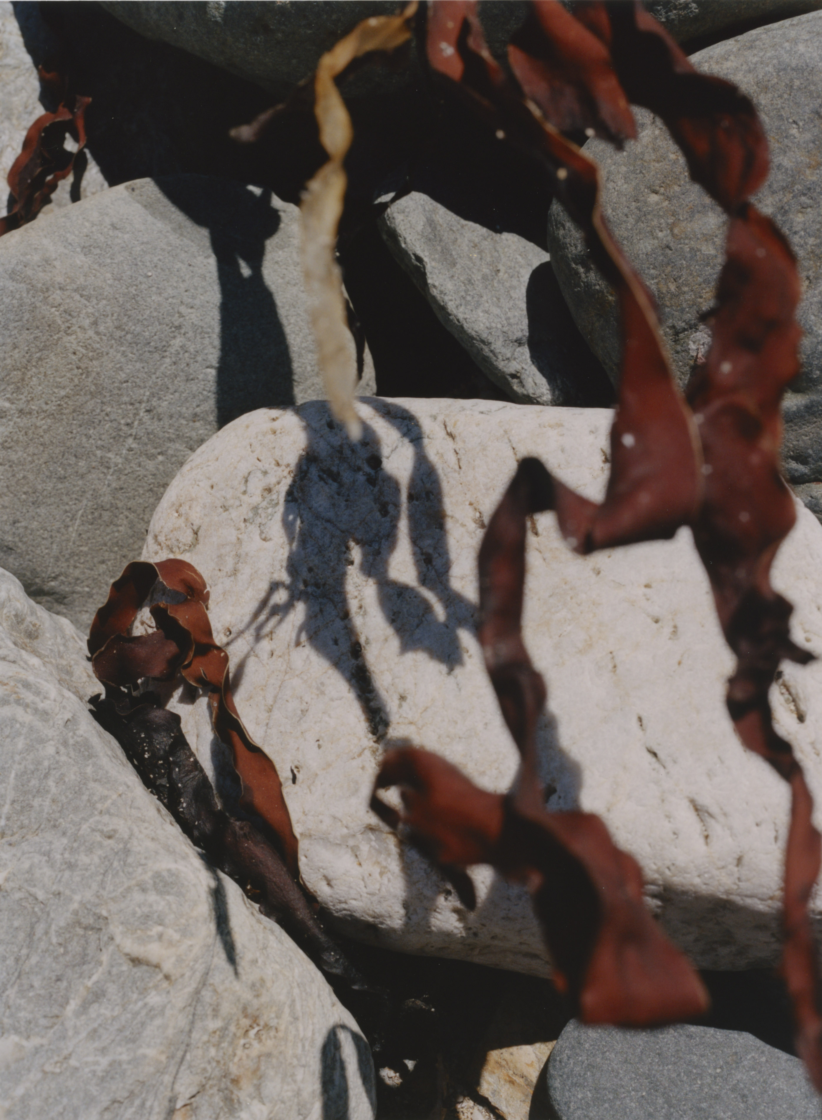 Cornwall, 2017. (73/74)